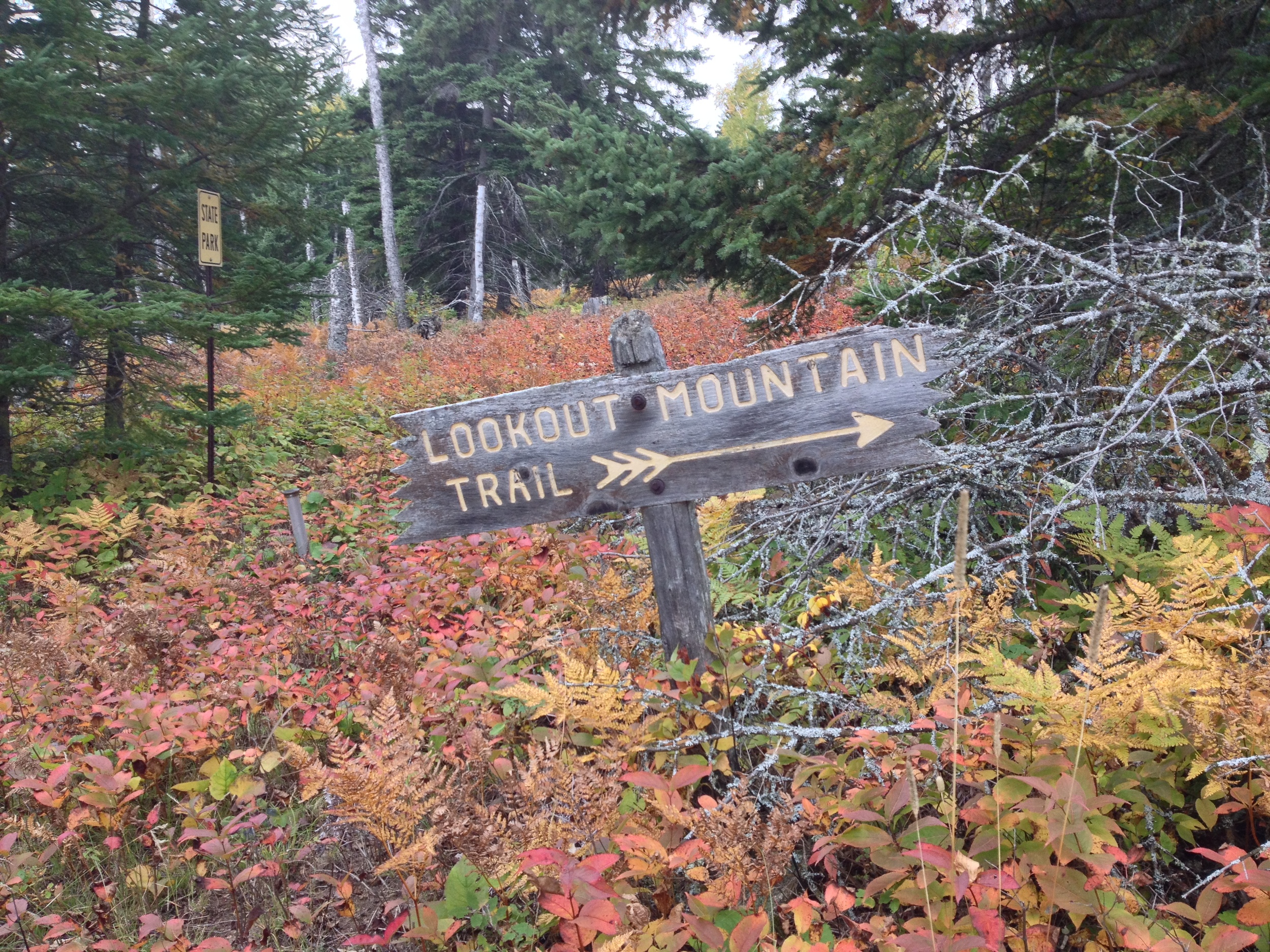  Follow the poorly marked trail at Cascade River State Park&nbsp; 