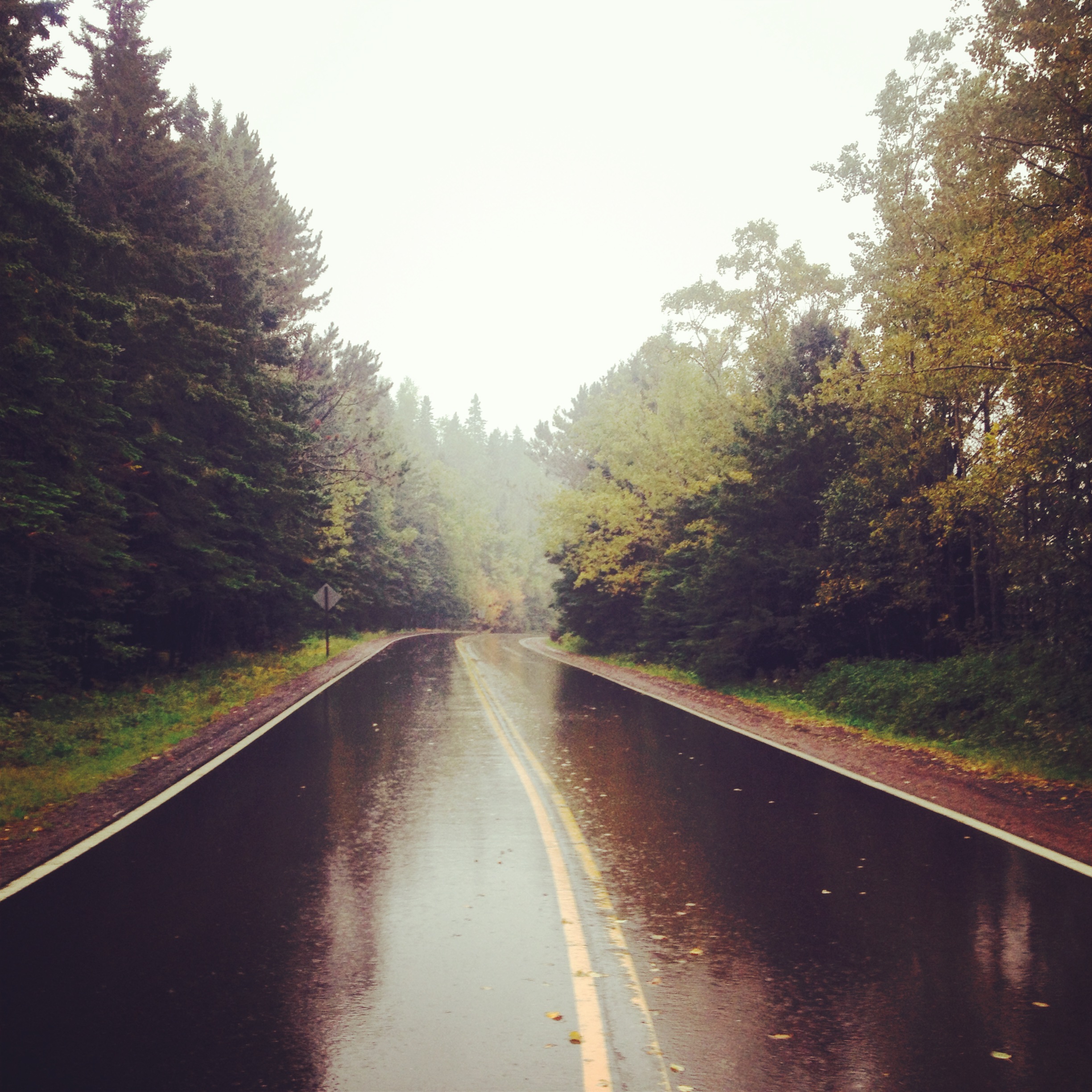 Foggy road to Grand Portage State Park 