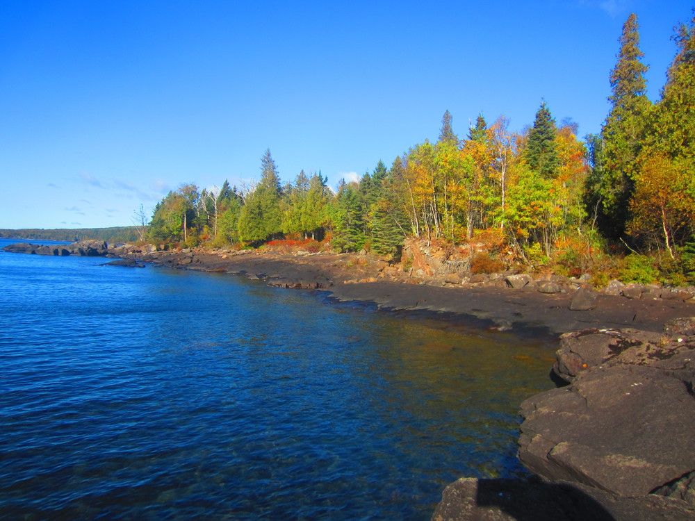 Superior National Forest reaches down to Lake Superior 