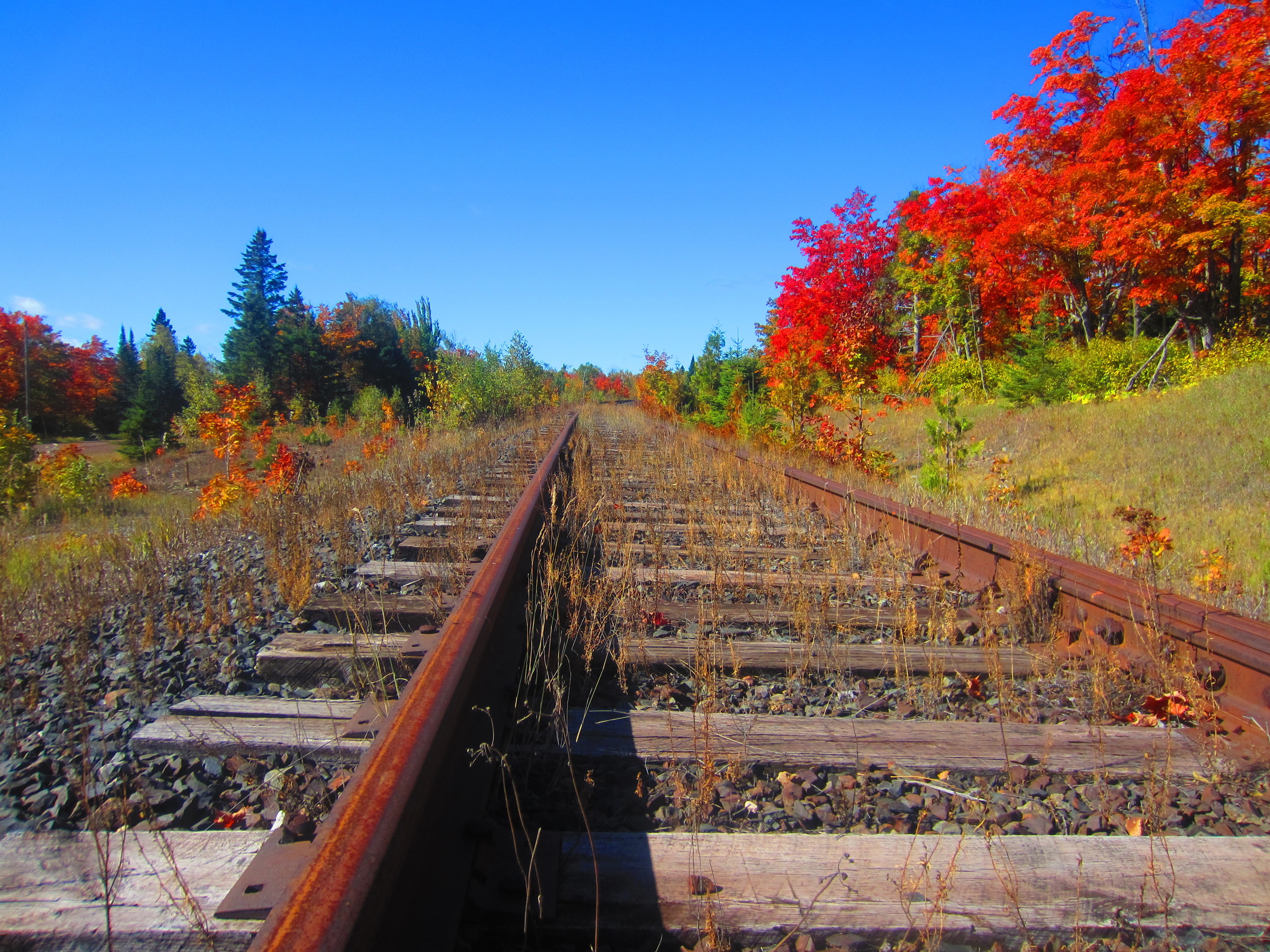 Railroad and Fall Colors in Superior National Forest