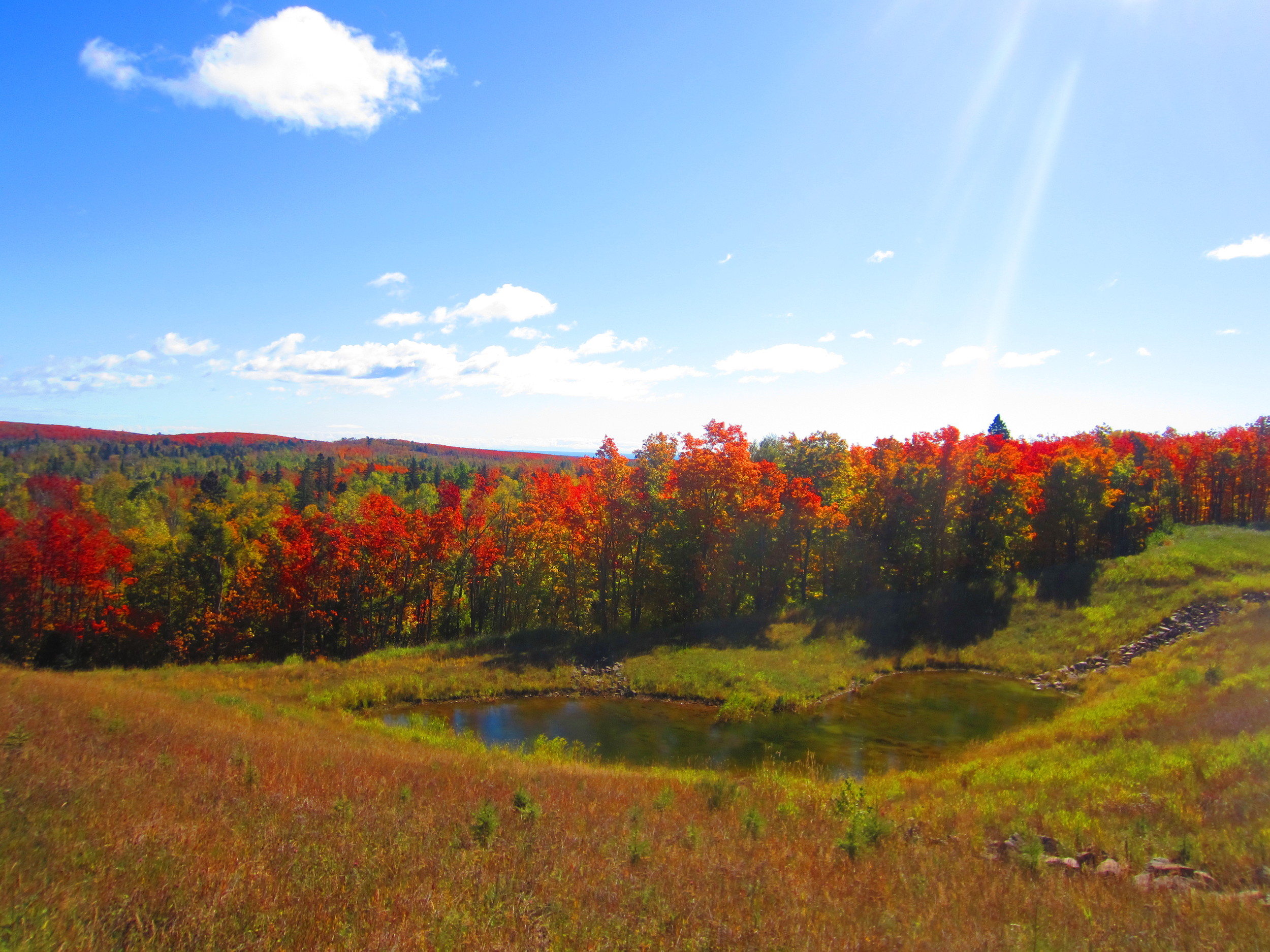 Fall Colors in Superior National Forest