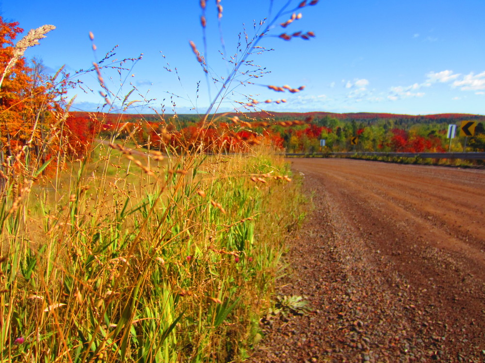 Fall Colors in Superior National Forest