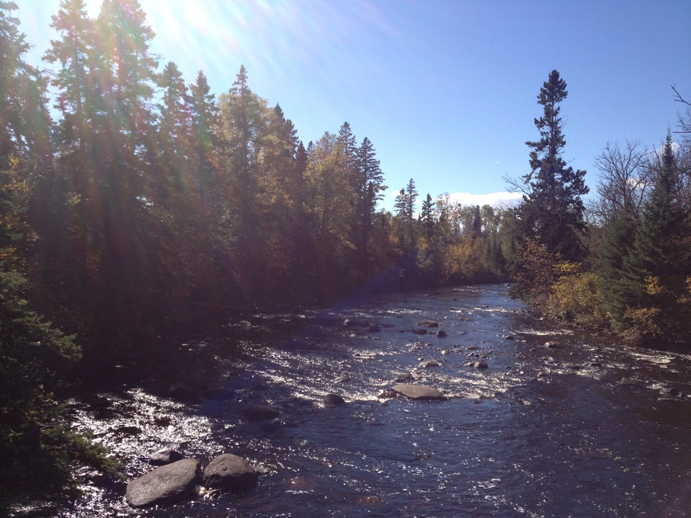 River in Superior National Forest 