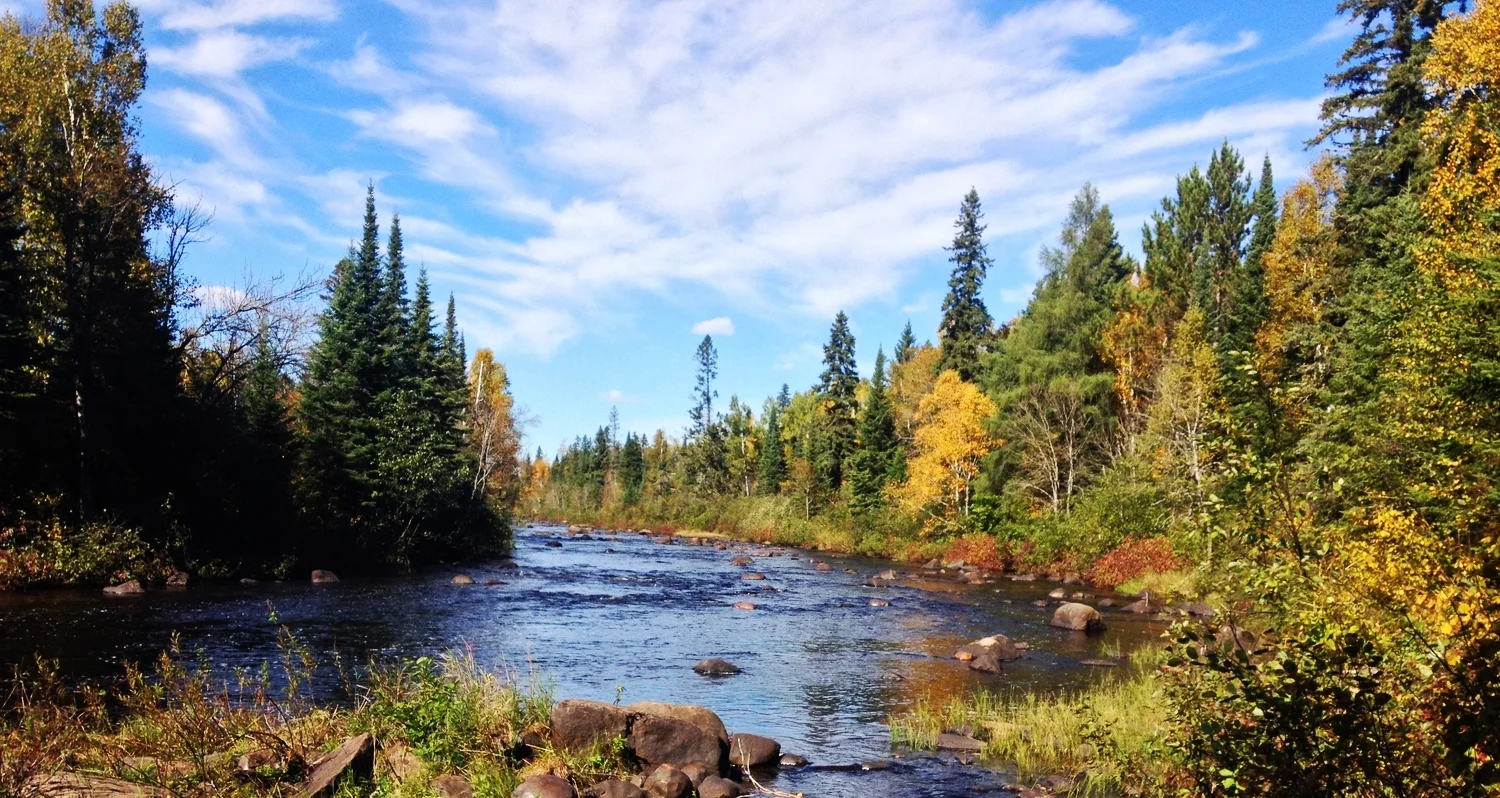 Superior National Forest 