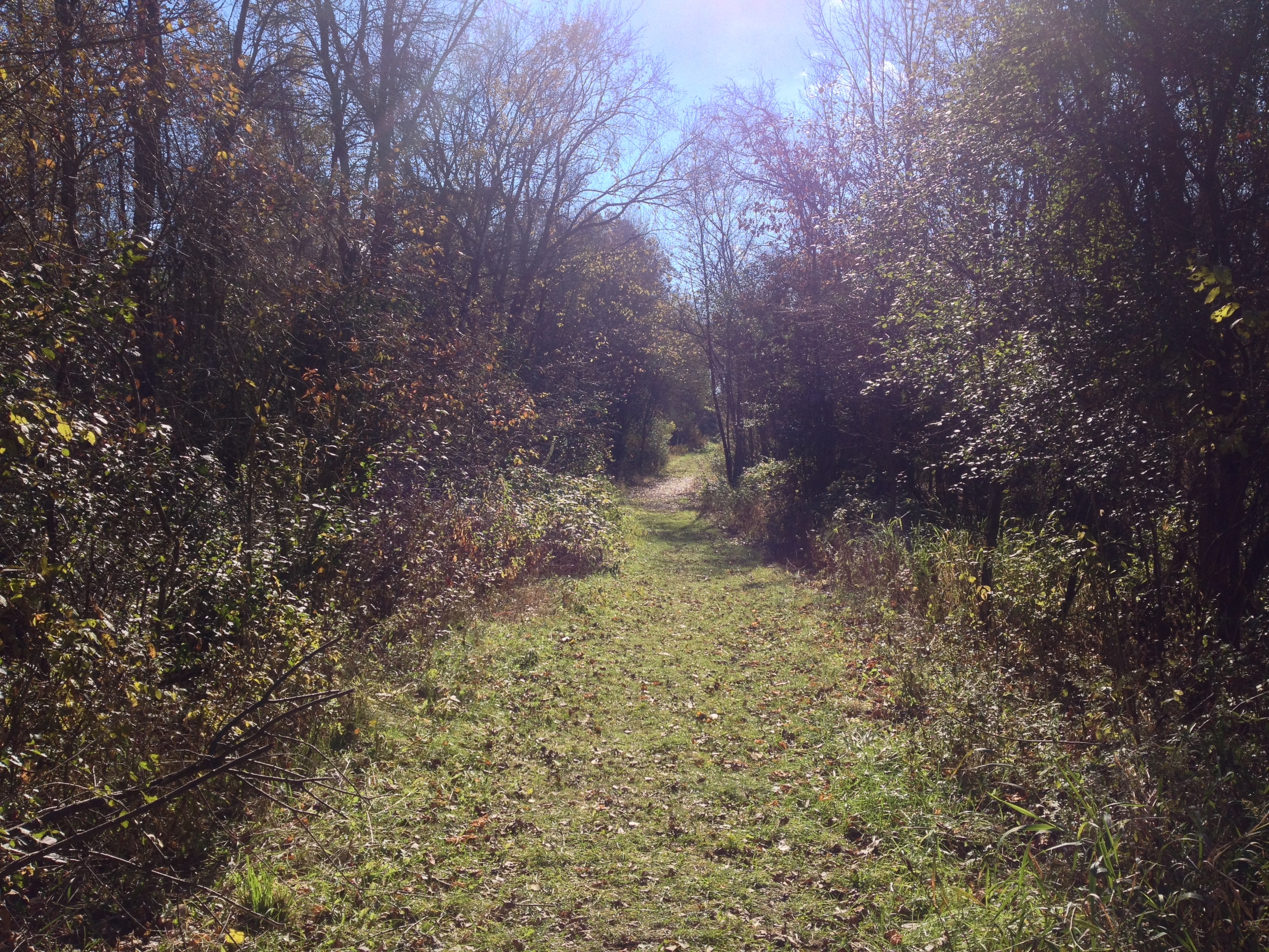 Hiking Trail at the Minnesota Valley State Recreation Area