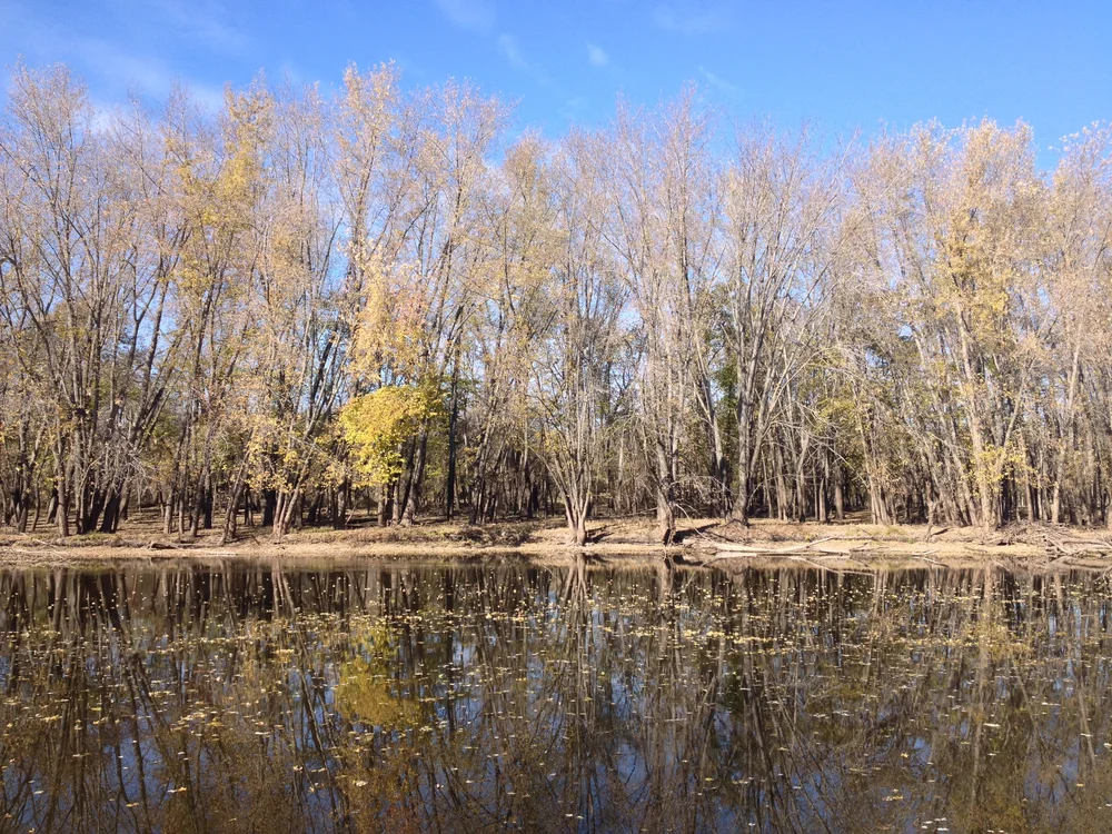 Minnesota River 