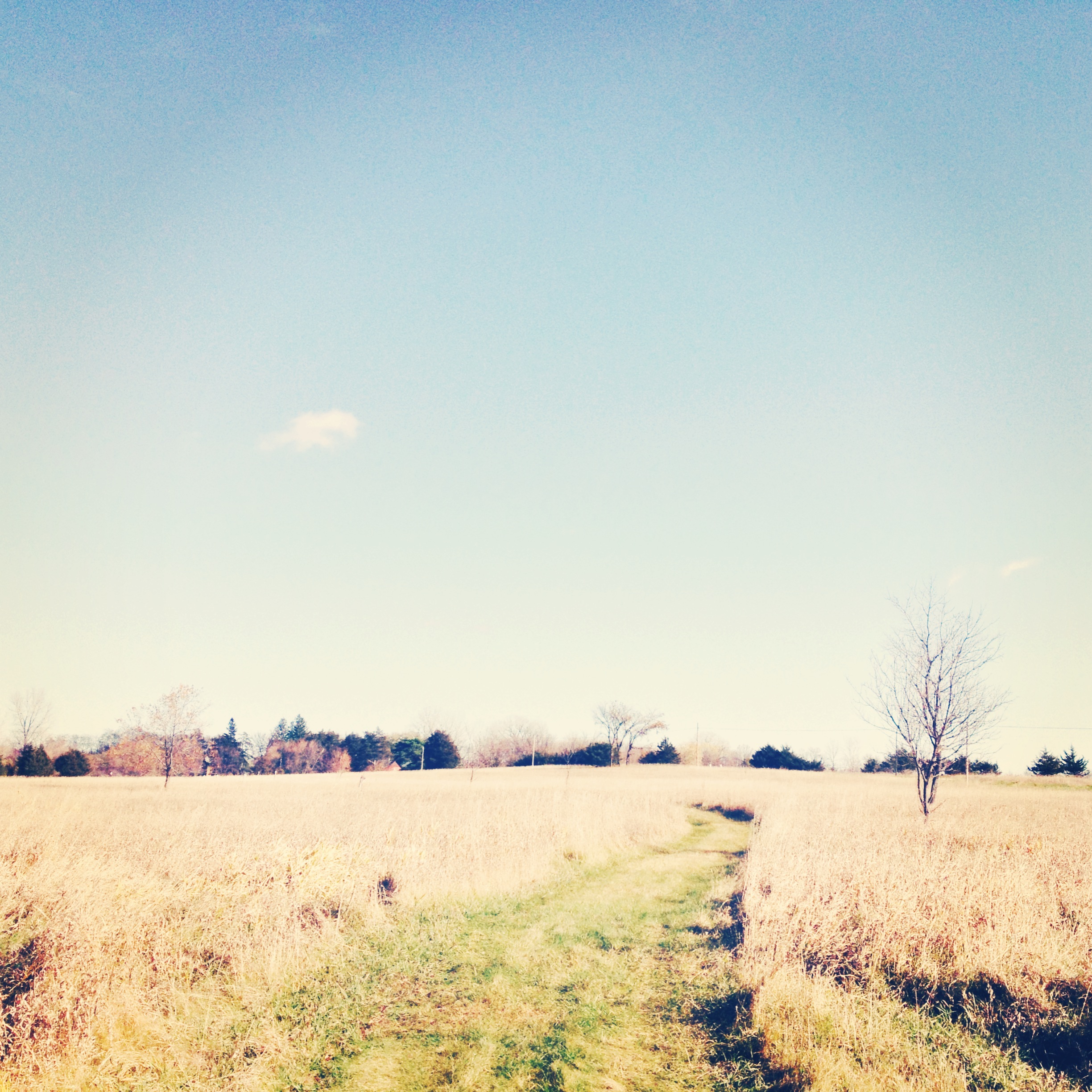 Even a prairie section.