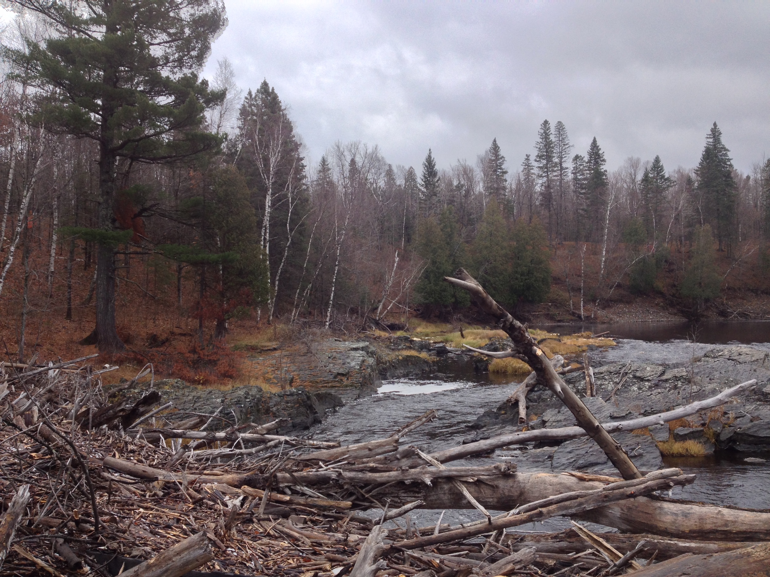 Flood Debris 