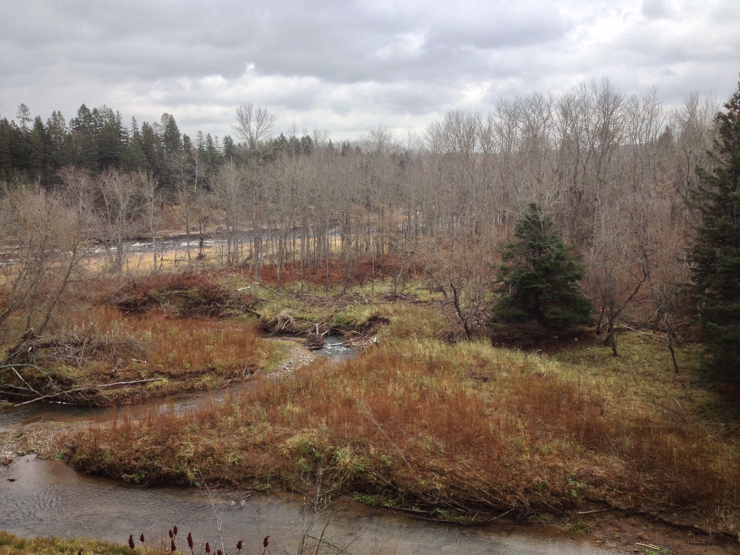 Silver Creek of Silver Creek Trail