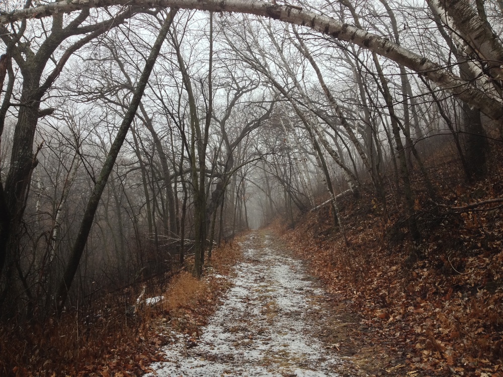  Minnesota Hiking Trail at Frontenac State Park 