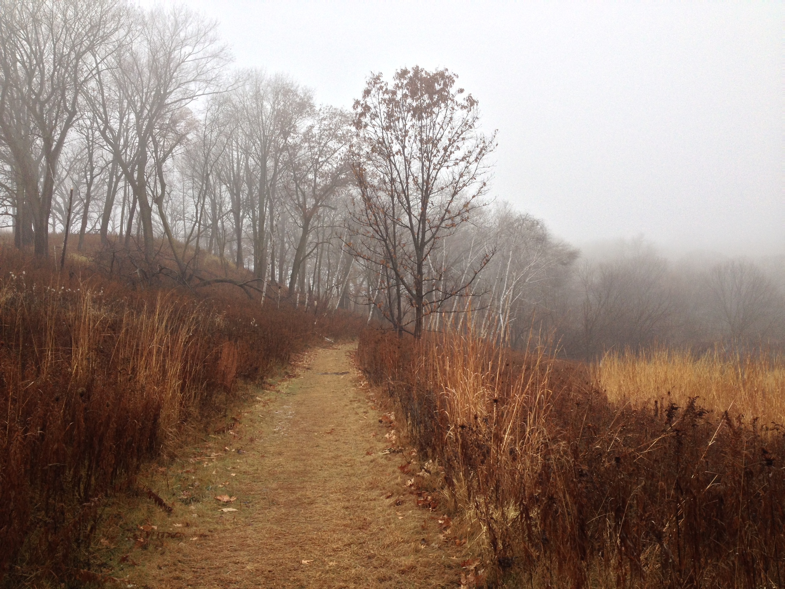  Minnesota Hiking Trail at Frontenac State Park 