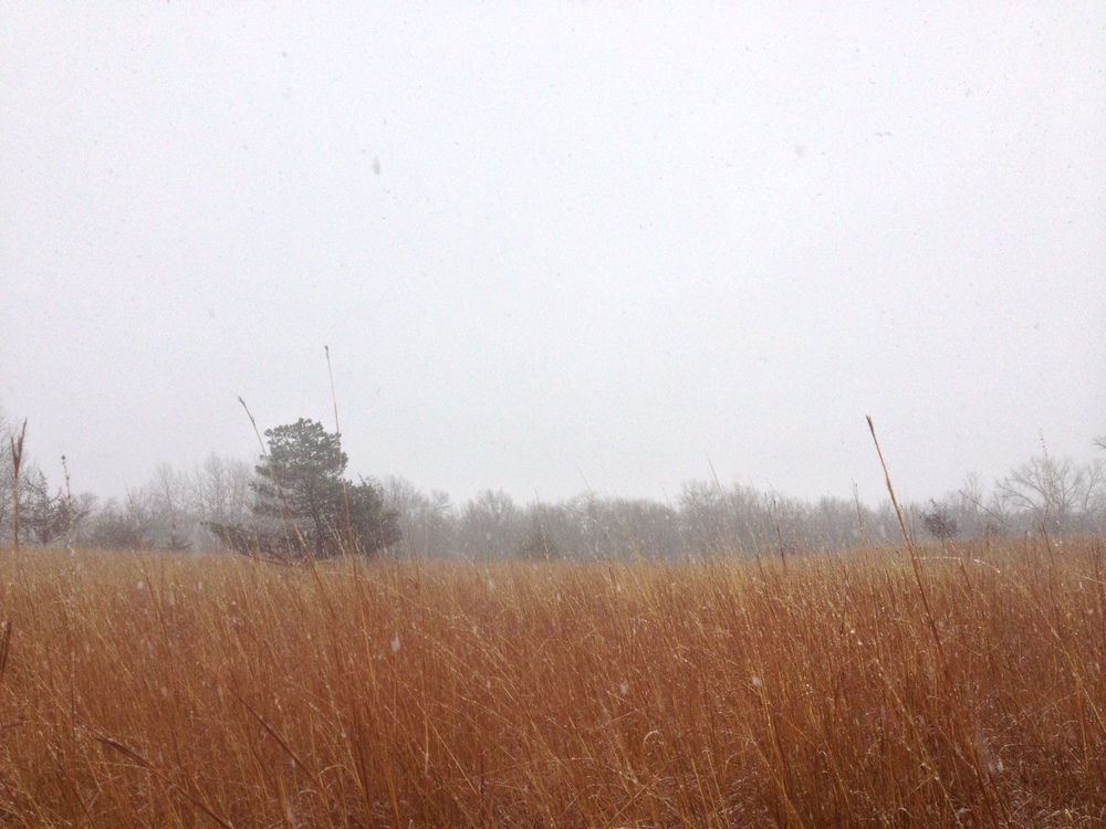  Minnesota Hiking Trail at Frontenac State Park 