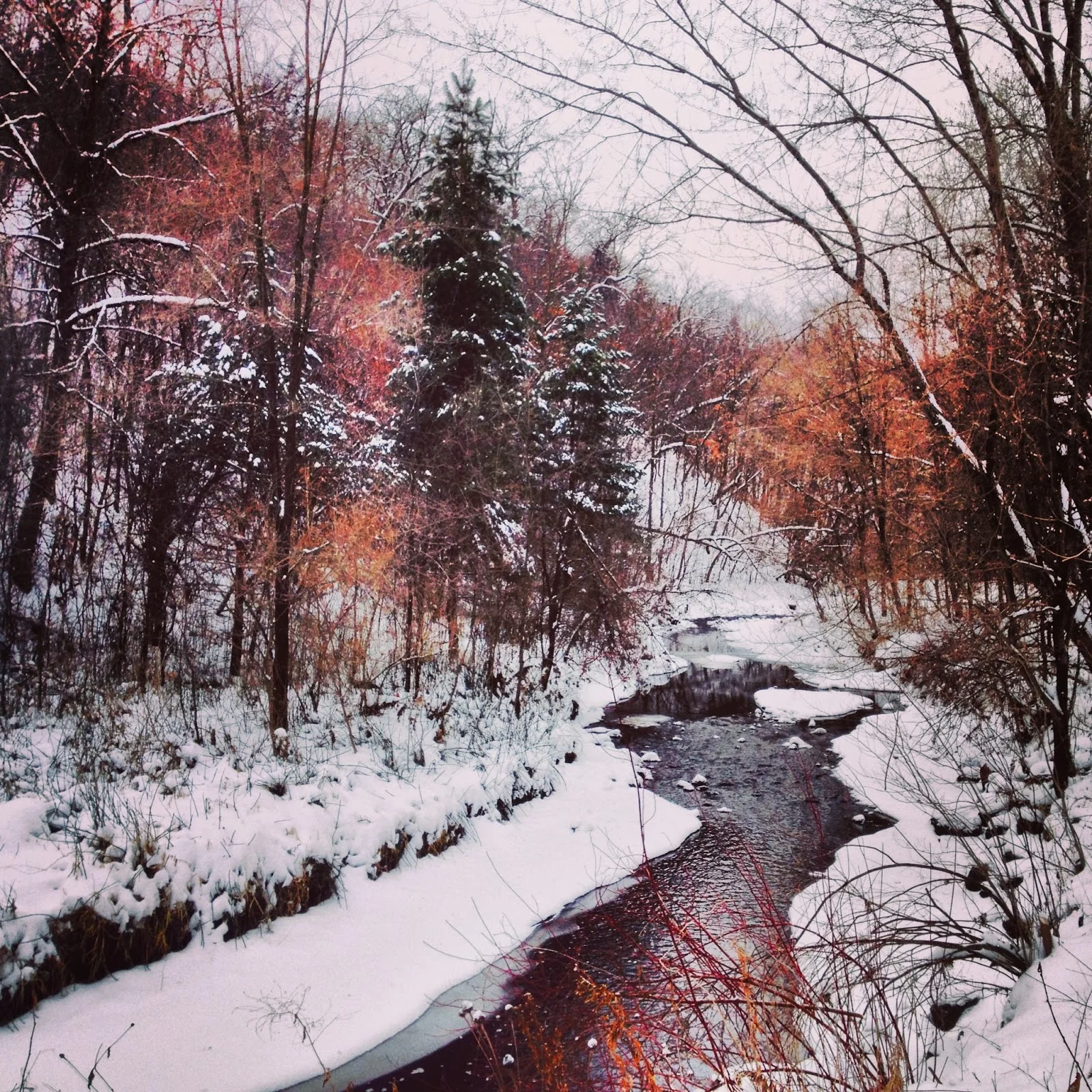 The moving water makes it difficult for the creek to fully freeze. 