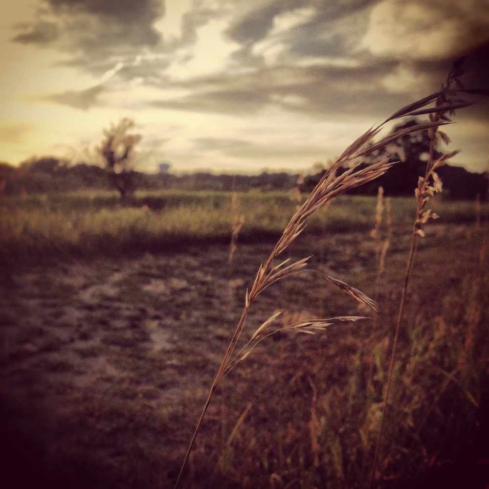 Stormy Prairie 