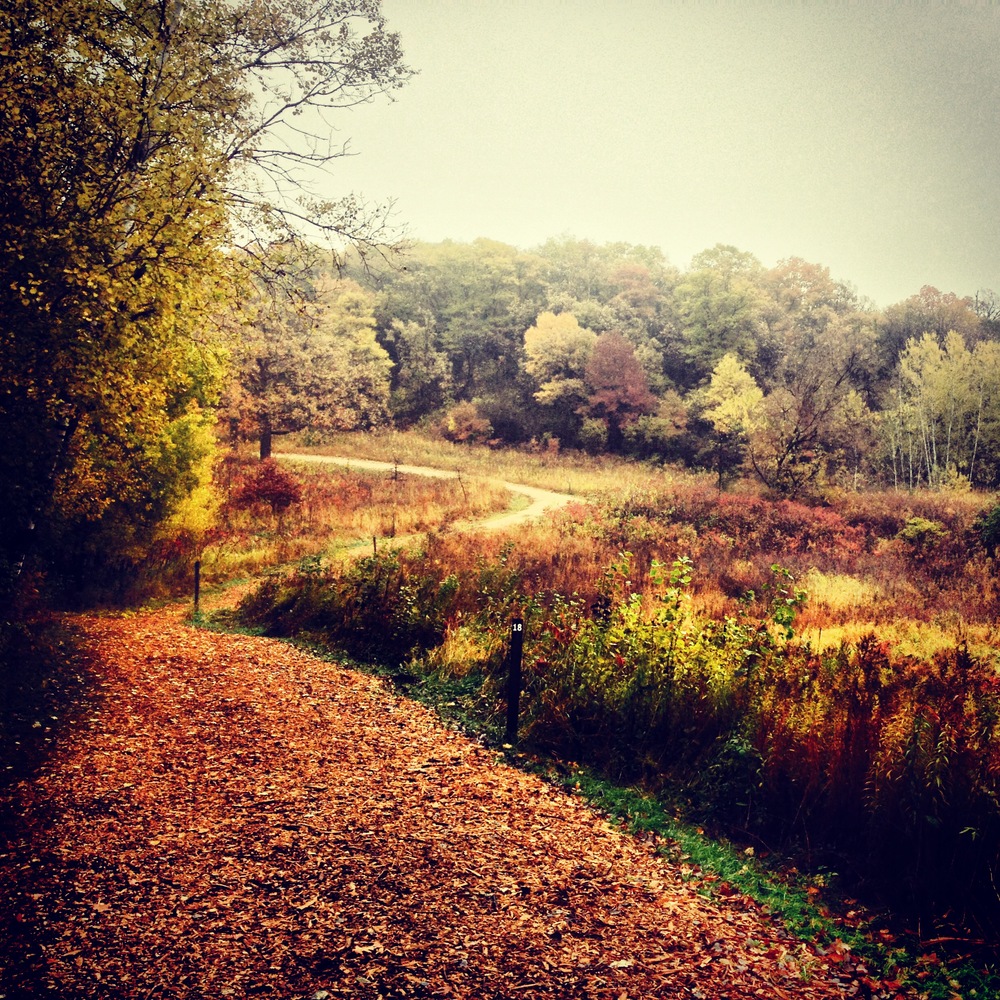 Autumn Trails 