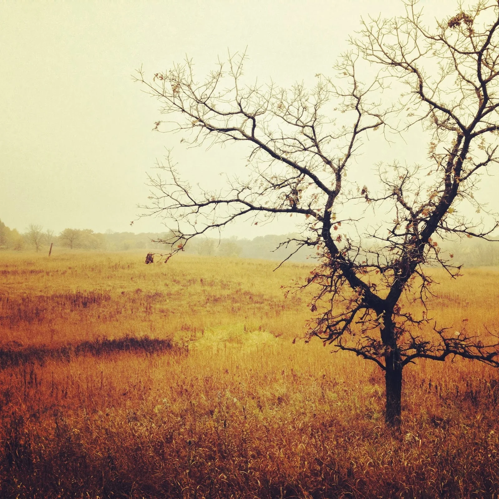 Richardson Nature Center