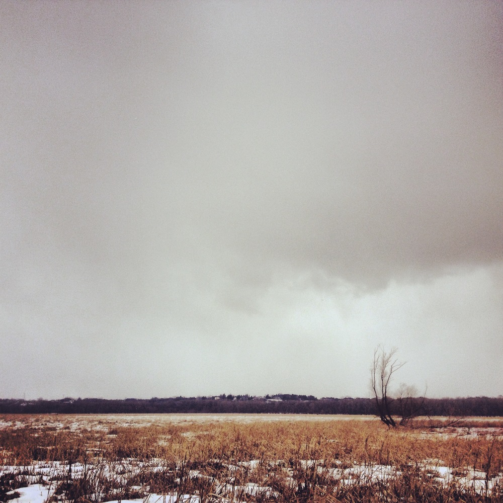 Frozen Marsh