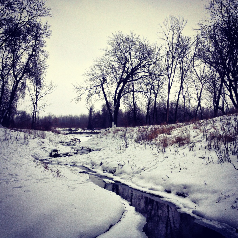 Frozen Creek