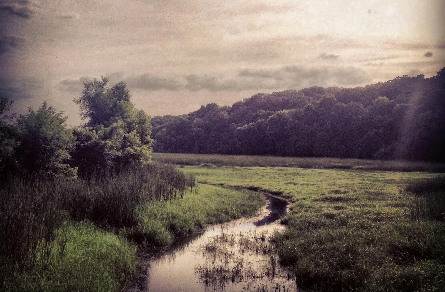 Minnesota Valley National Wildlife Refuge