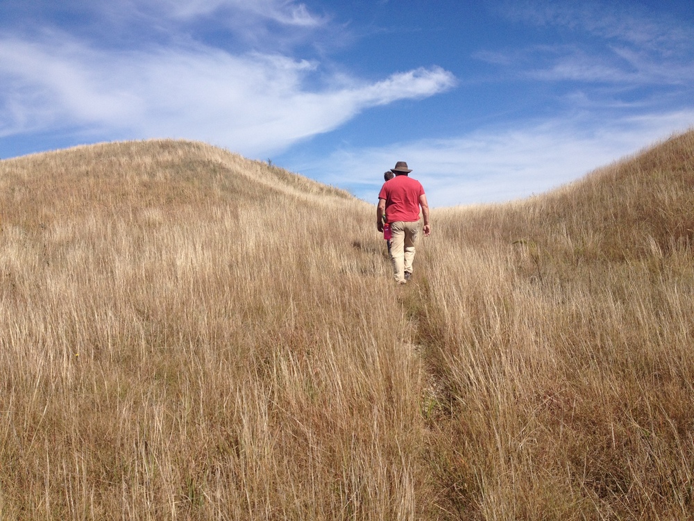 Hiking the Kames