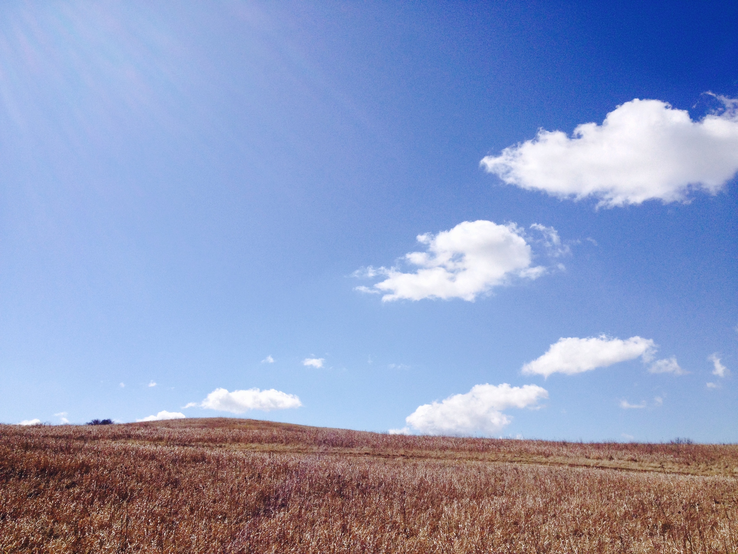  Minnesota Hiking Club Trail at Glacial Lakes State Park&nbsp; 