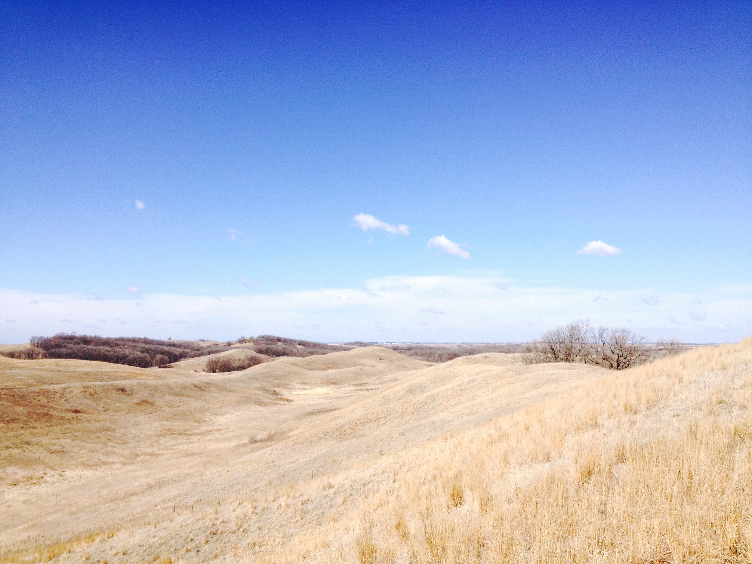  Minnesota Hiking Club Trail at Glacial Lakes State Park&nbsp; 