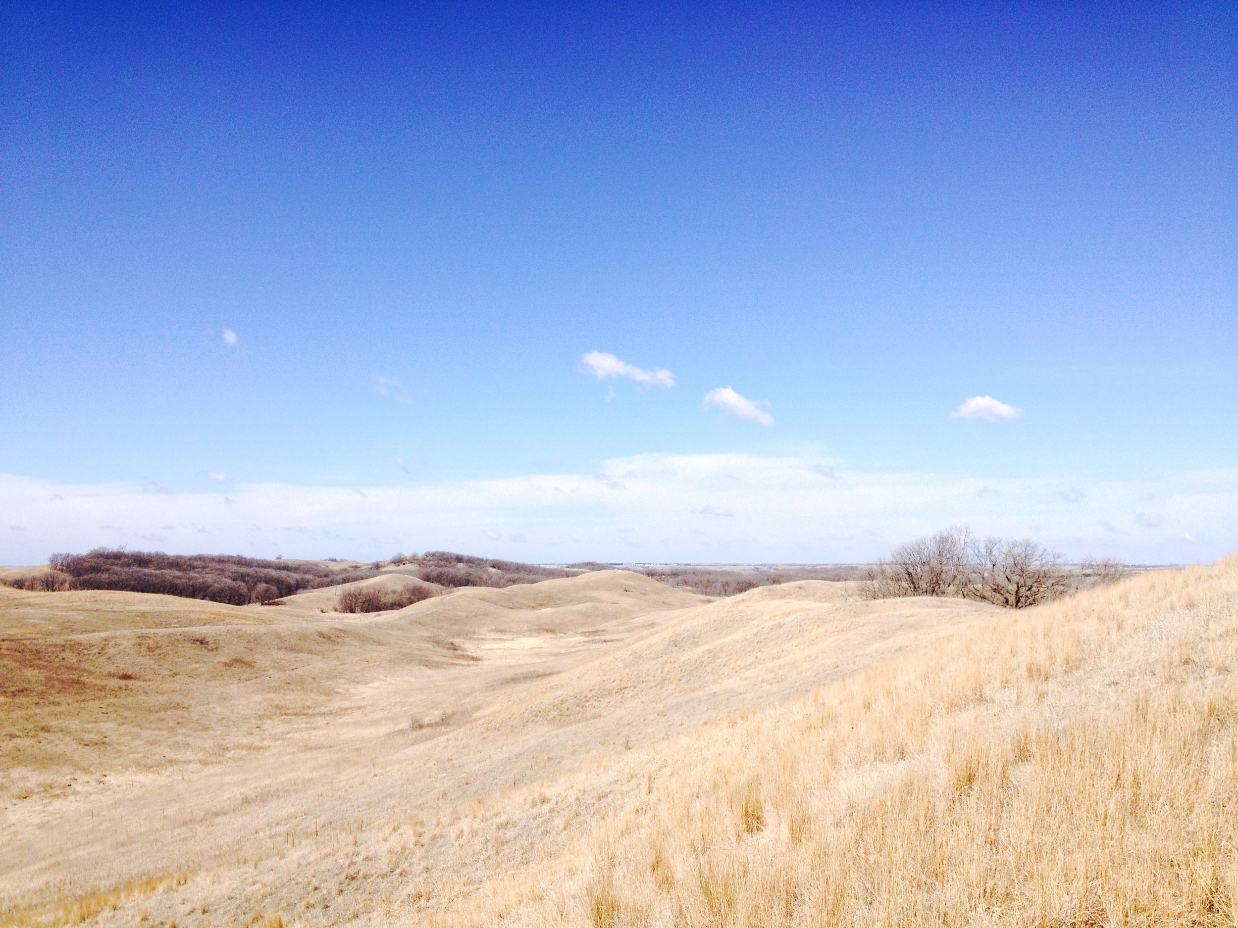 Minnesota Hiking Club Trail at Glacial Lakes State Park 