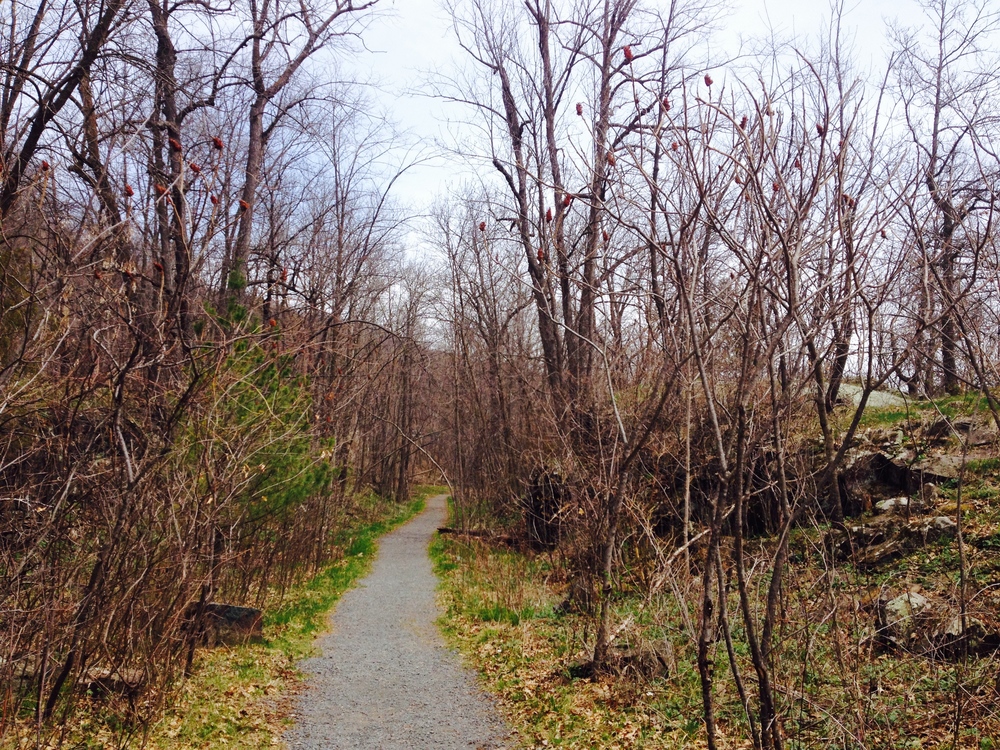  Minnesota Hiking Club Trail at Interstate State Park&nbsp; 