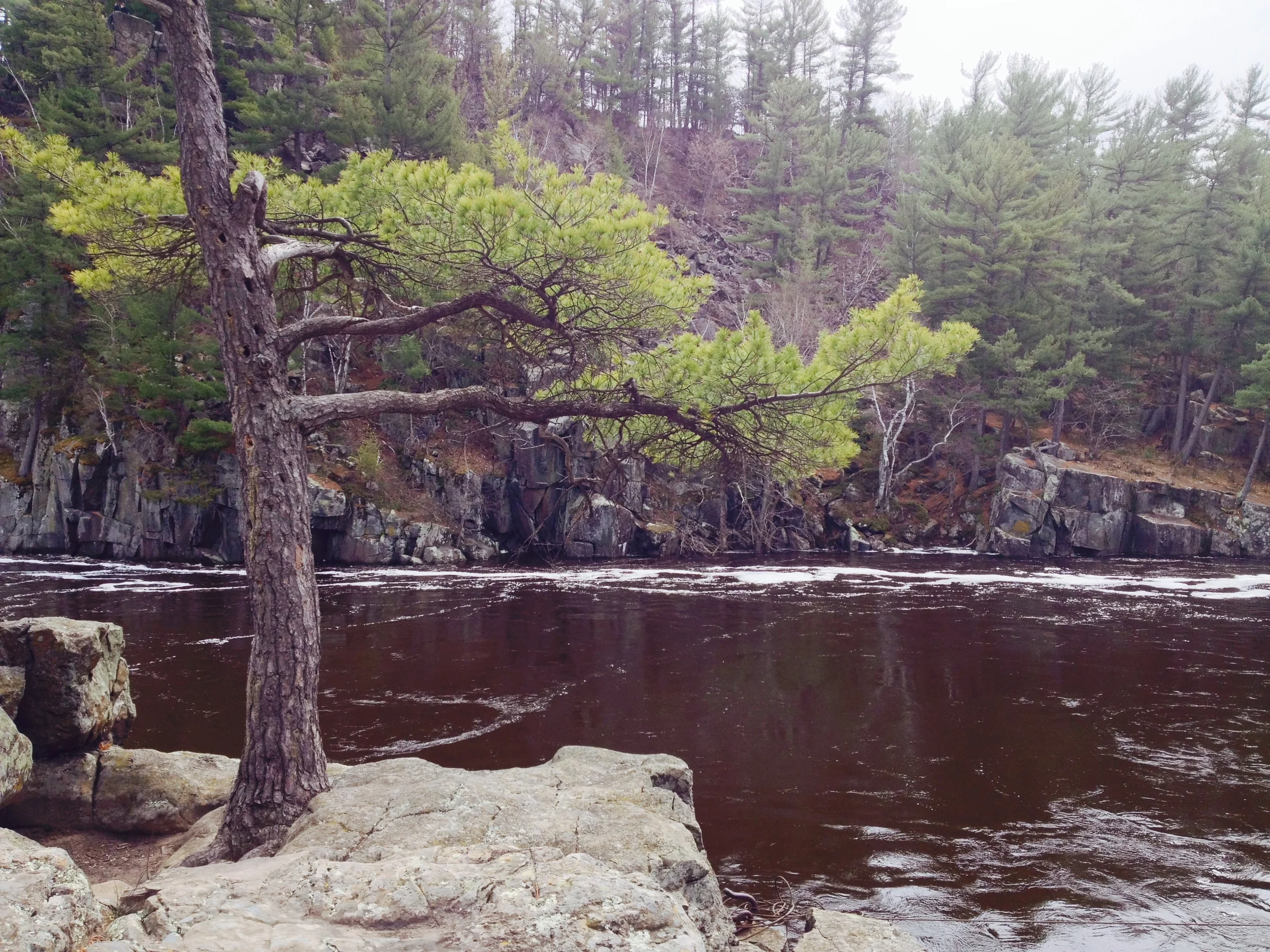 Minnesota Hiking Club Trail at Interstate State Park 
