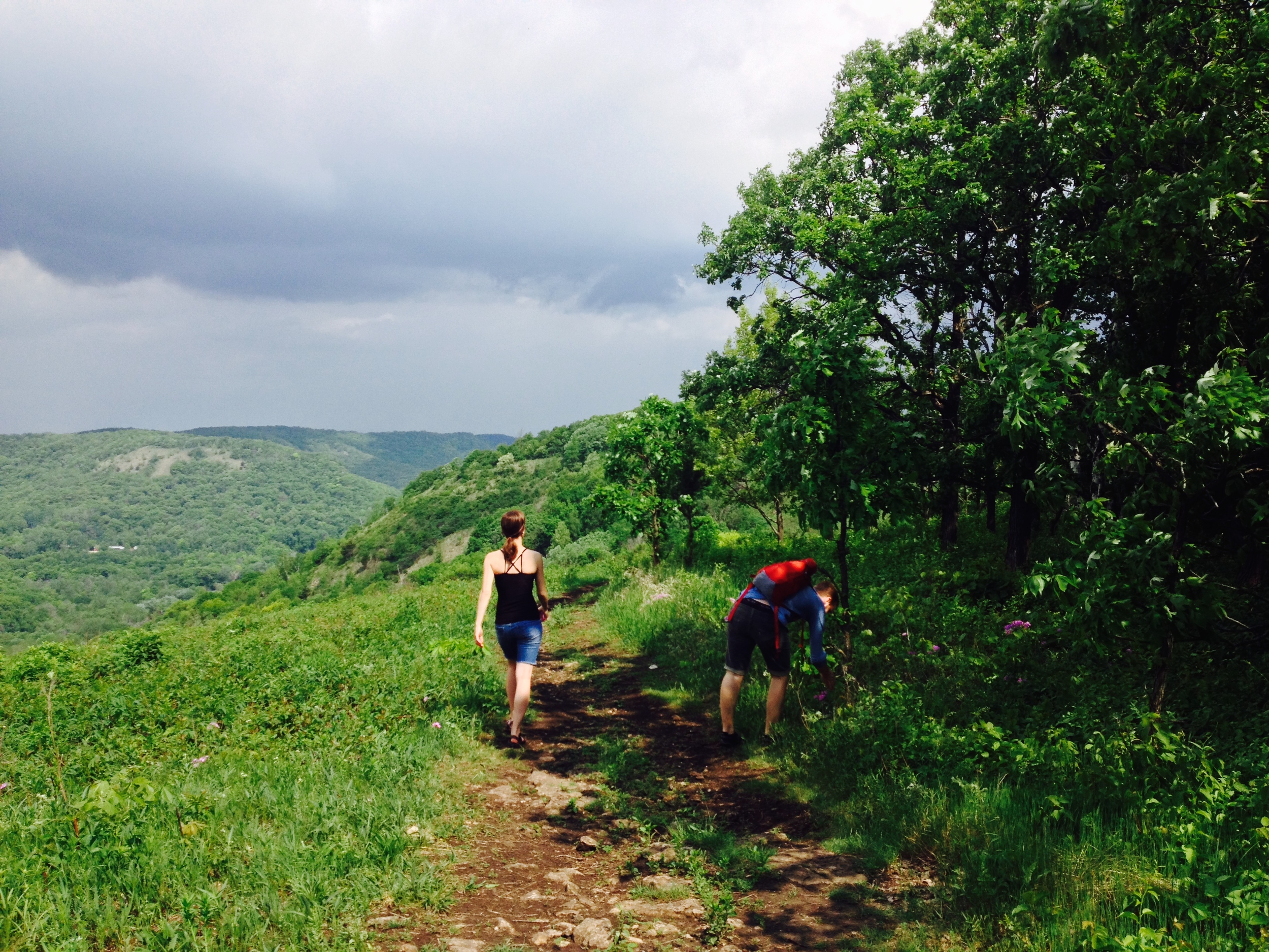 Minnesota Hiking Club Trail at Great River Bluffs State Park 