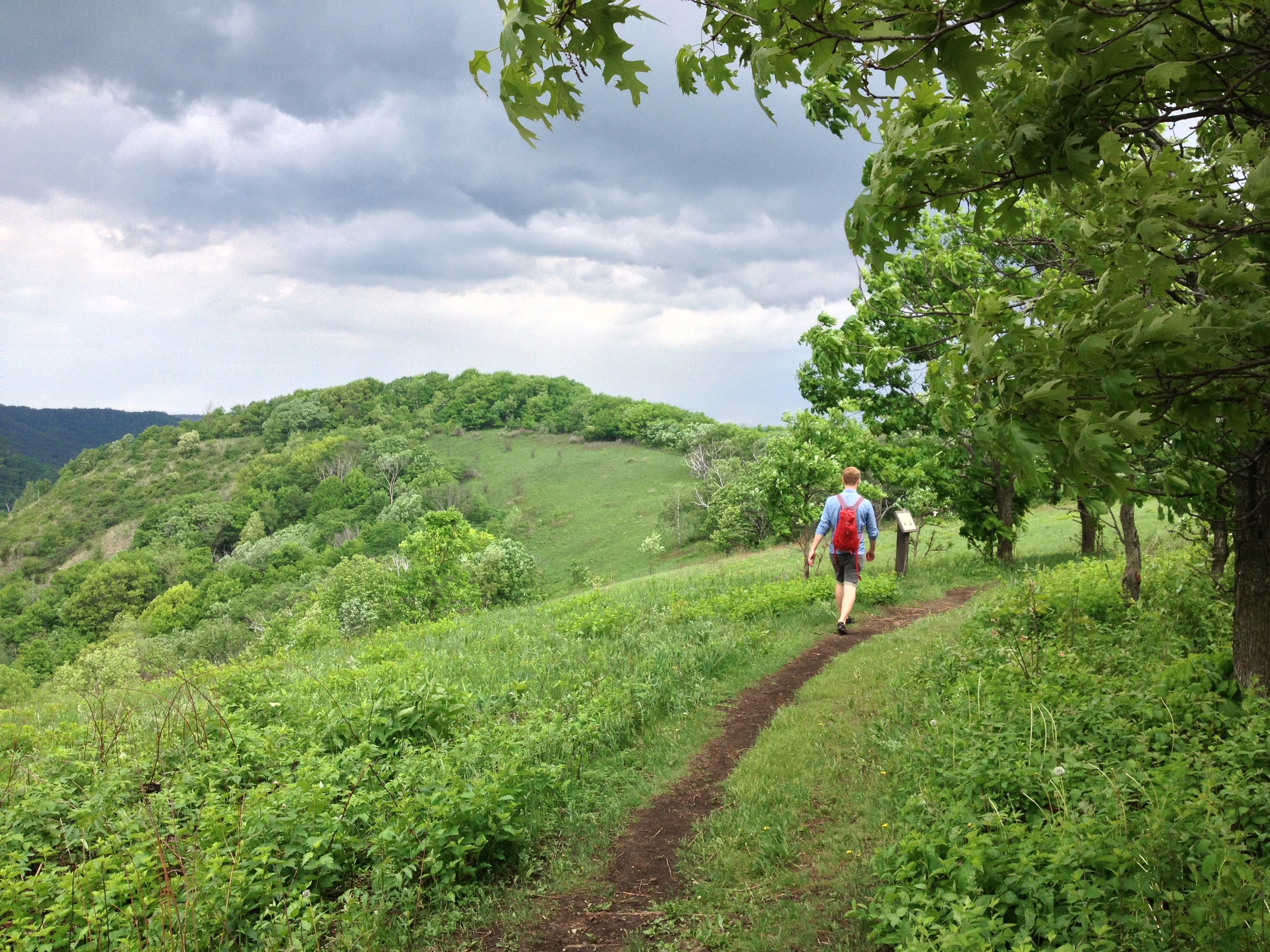 Hilly Minnesota 