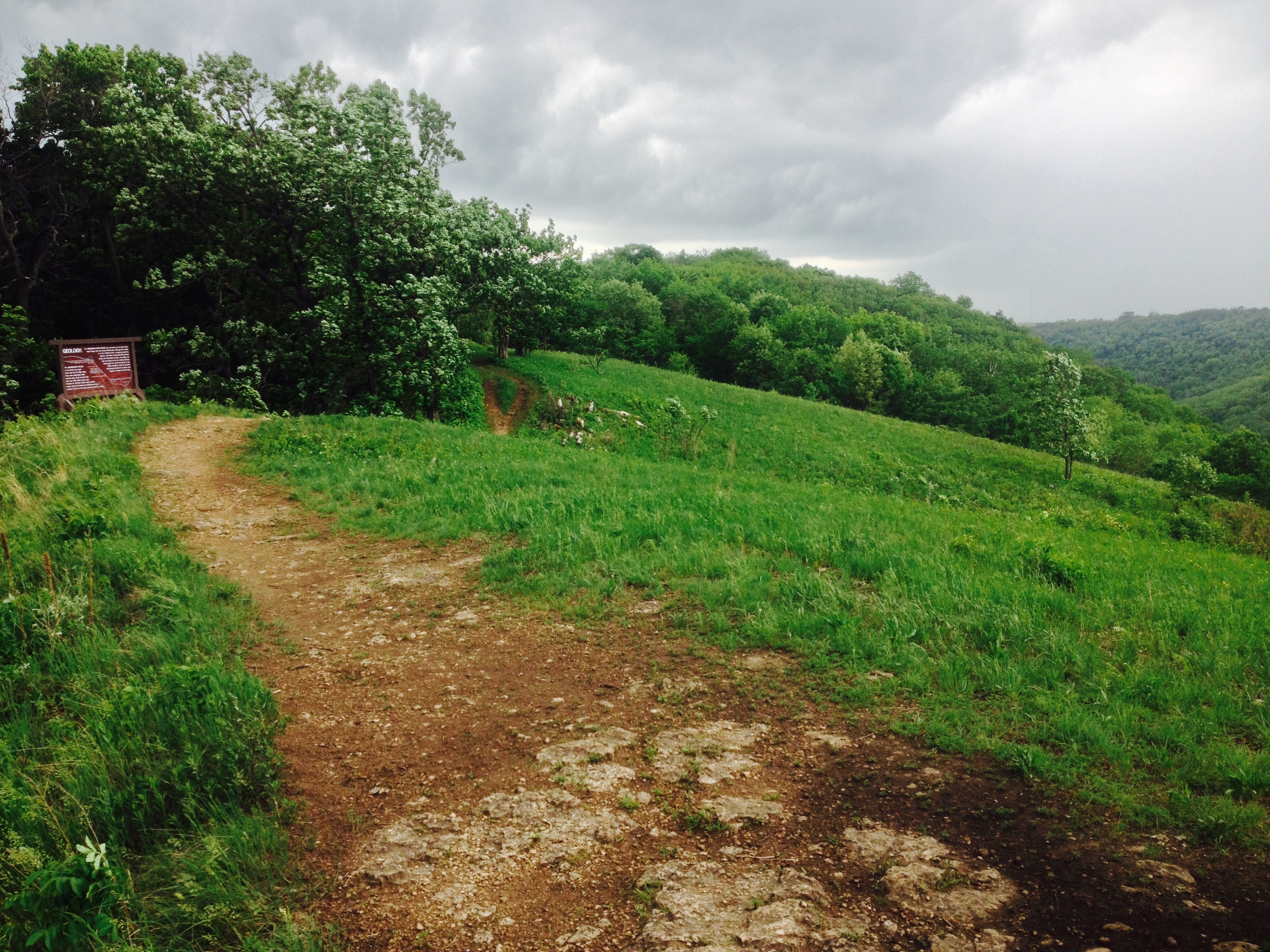 The Trail