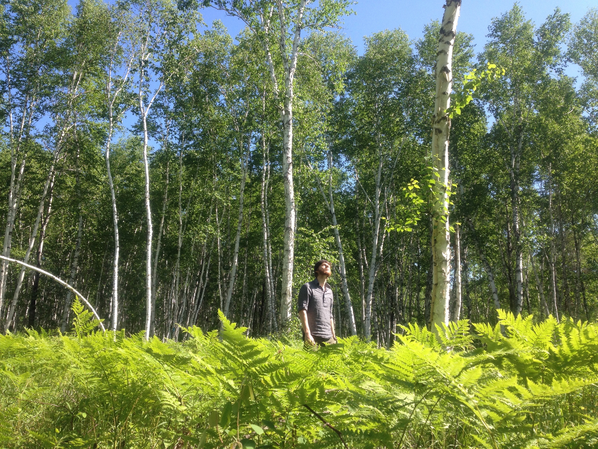 Me in the Ferns & Poison Ivy