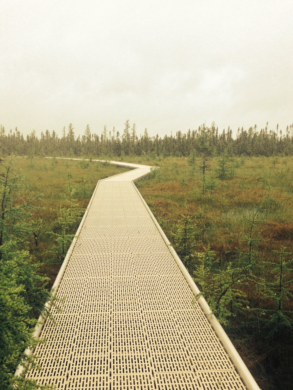  Minnesota Hiking Club at Big Bog State Recreation Area&nbsp; 