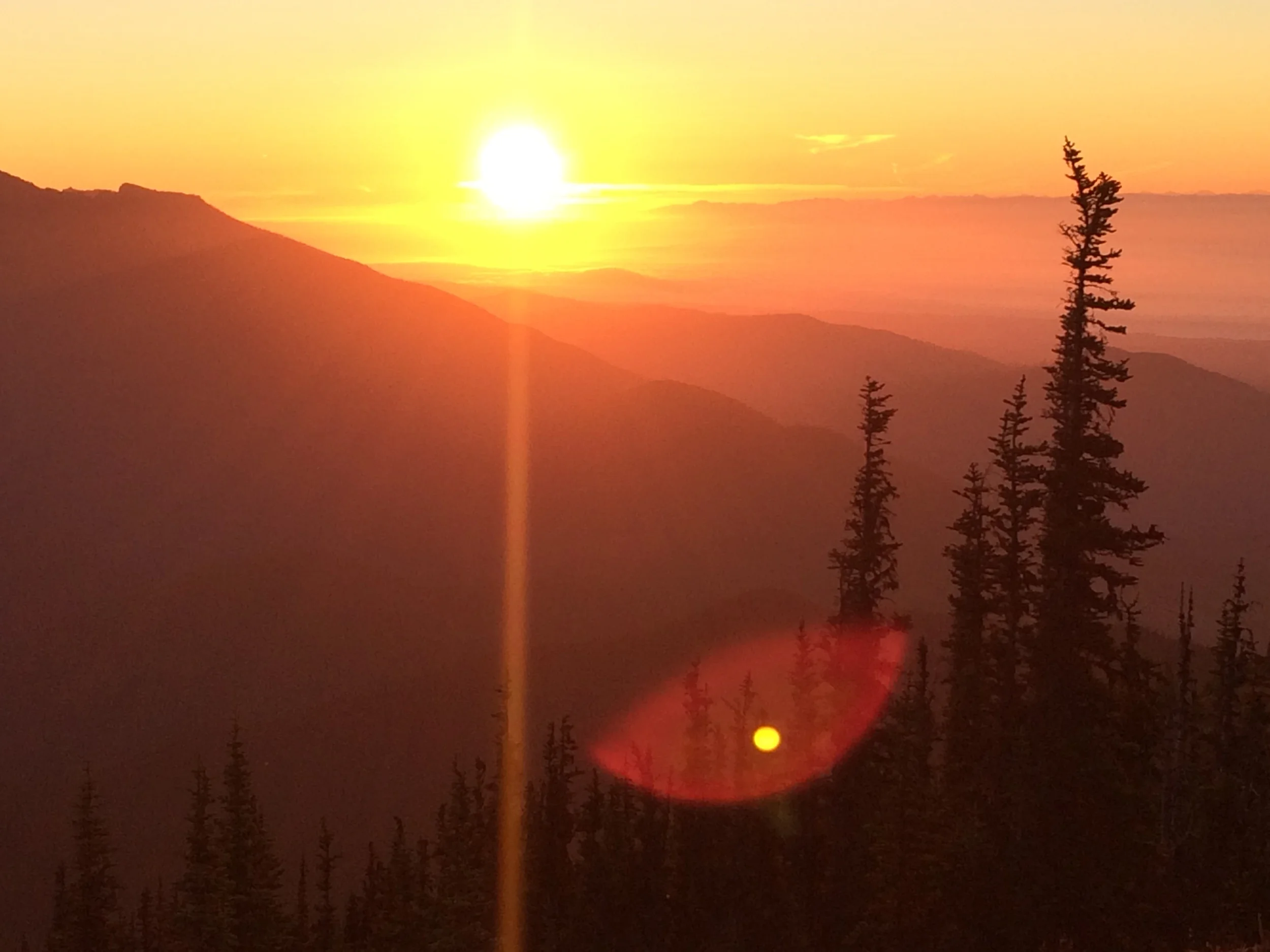 Olympic National Park: The Mountains