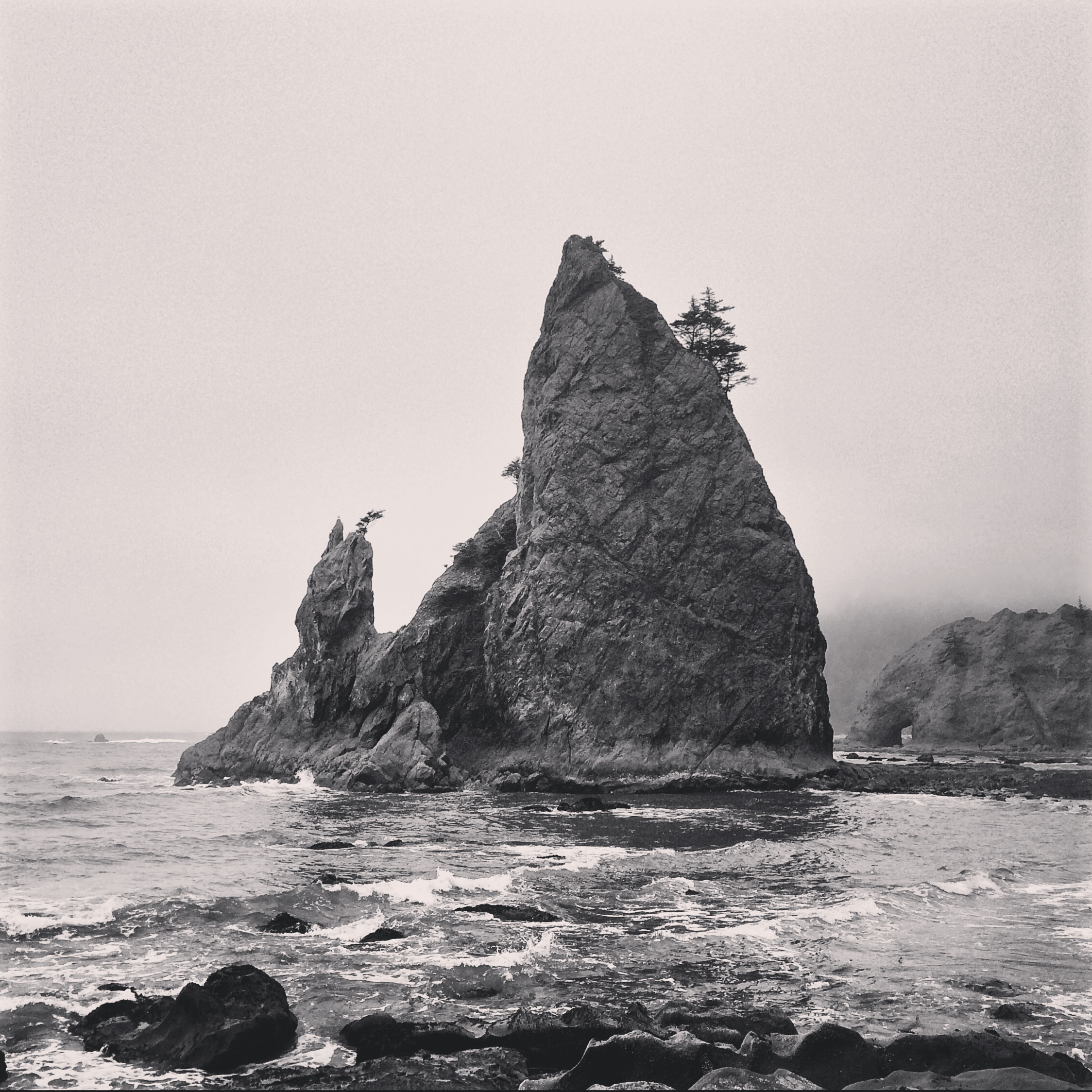 Olympic National Park: The Sea