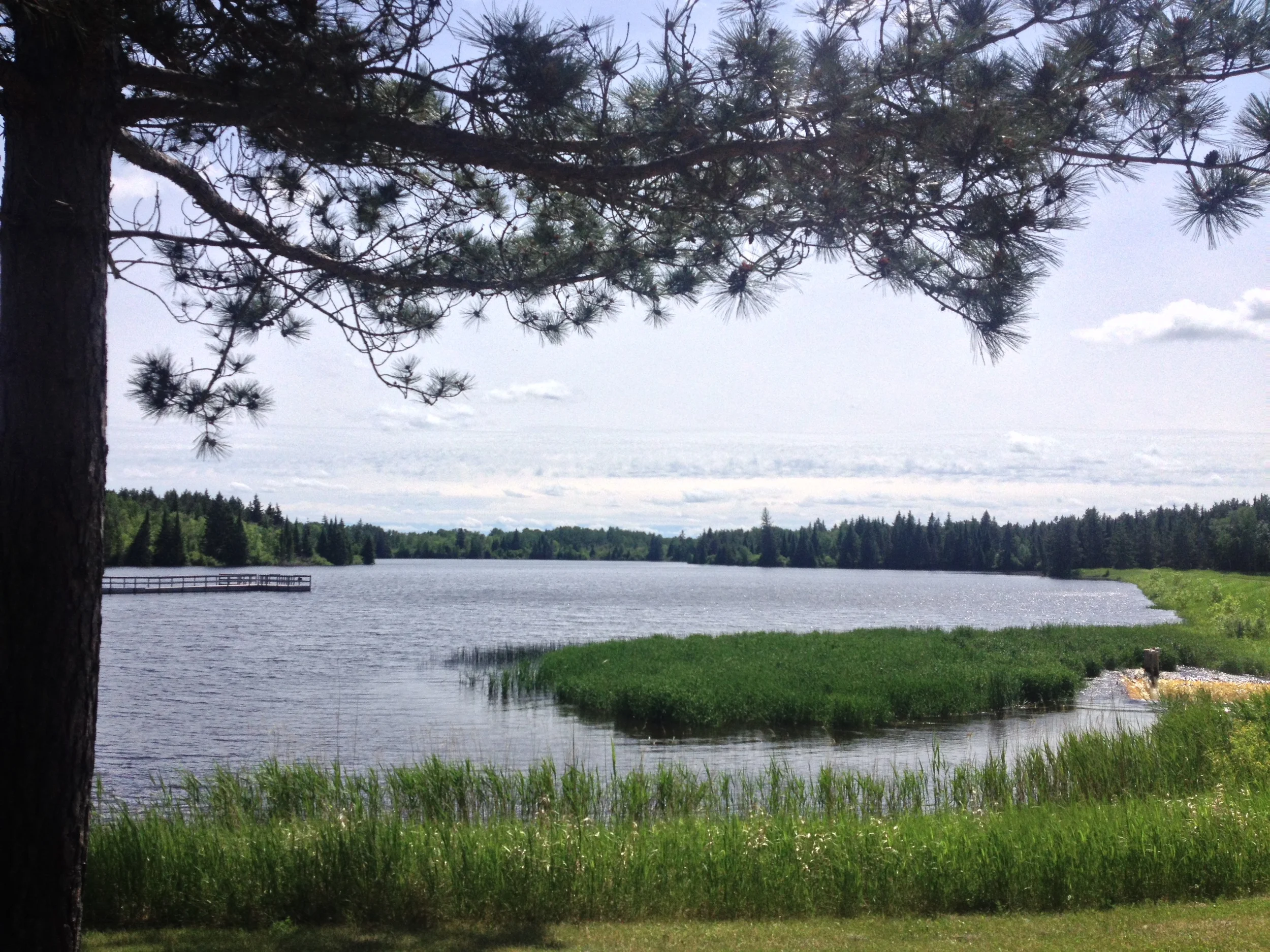 You get a little North Woods feel, but it's still pretty open. 