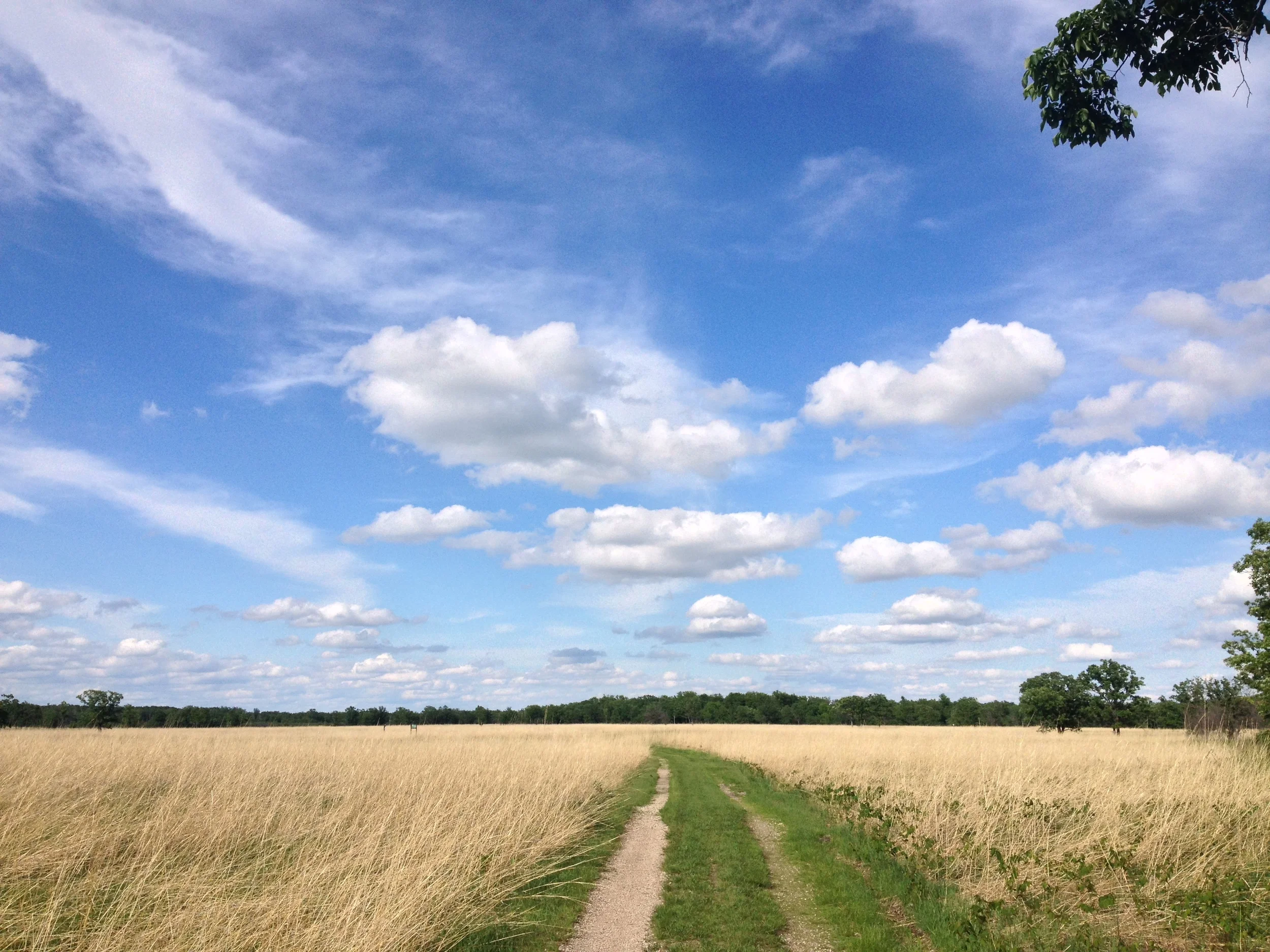 The Hiking Club Trail. 