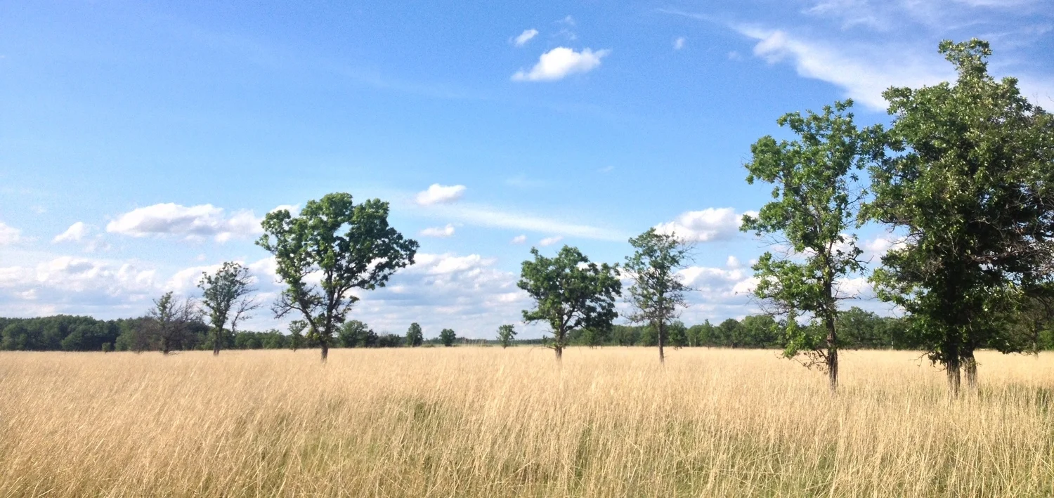 Lake Bronson State Park 