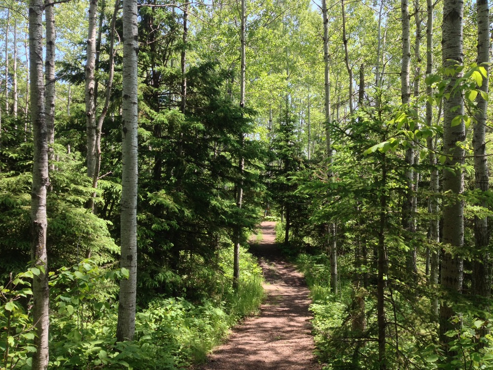 The Hiking Club Trail