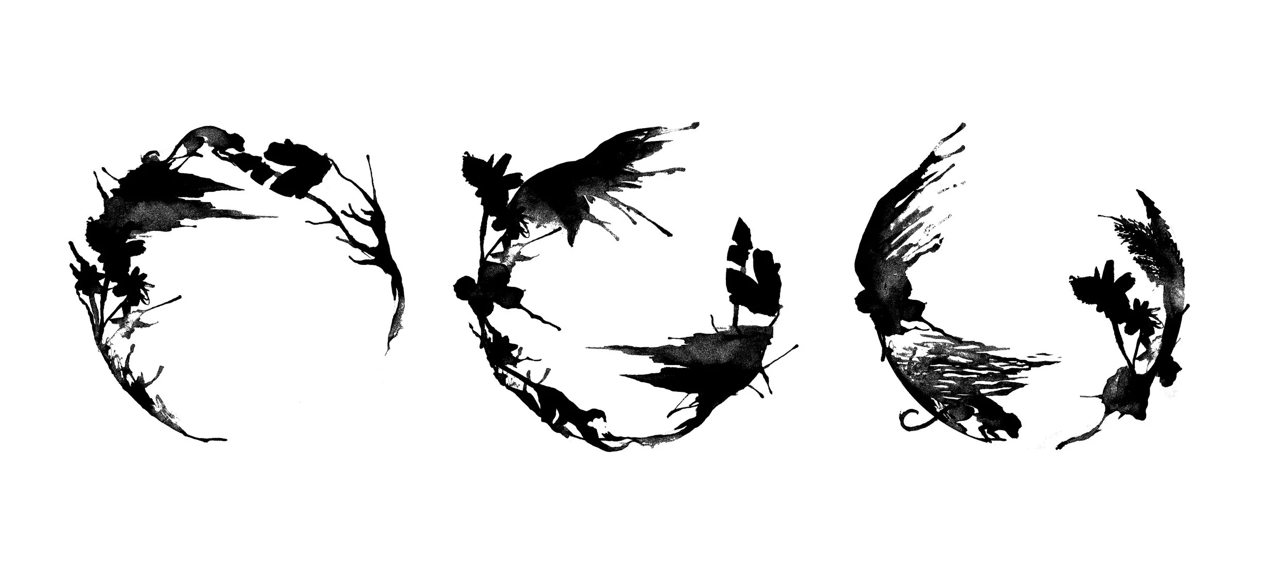 vana_sketches_2_es.jpg
