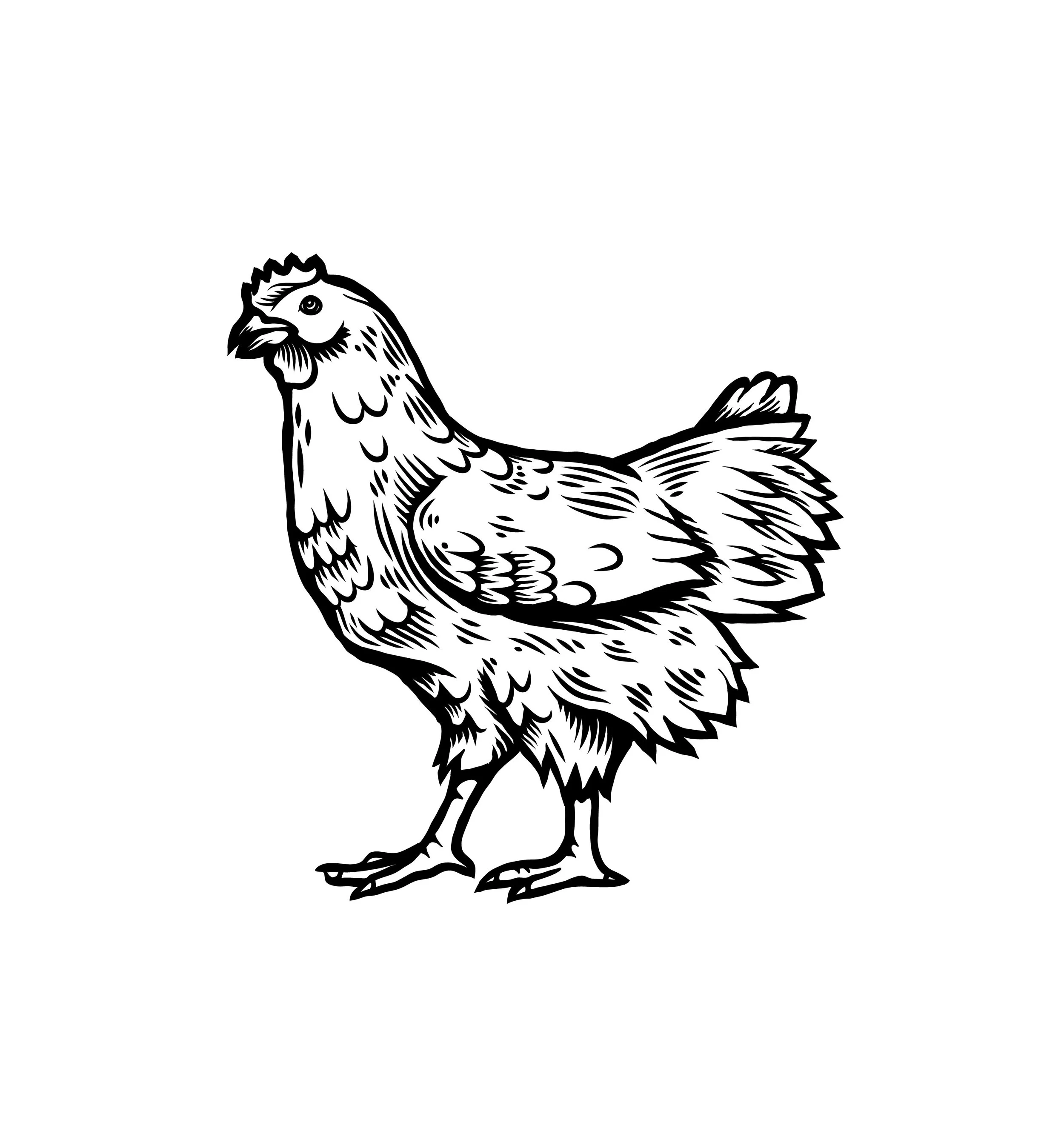 112023_chicken_es-01.jpg