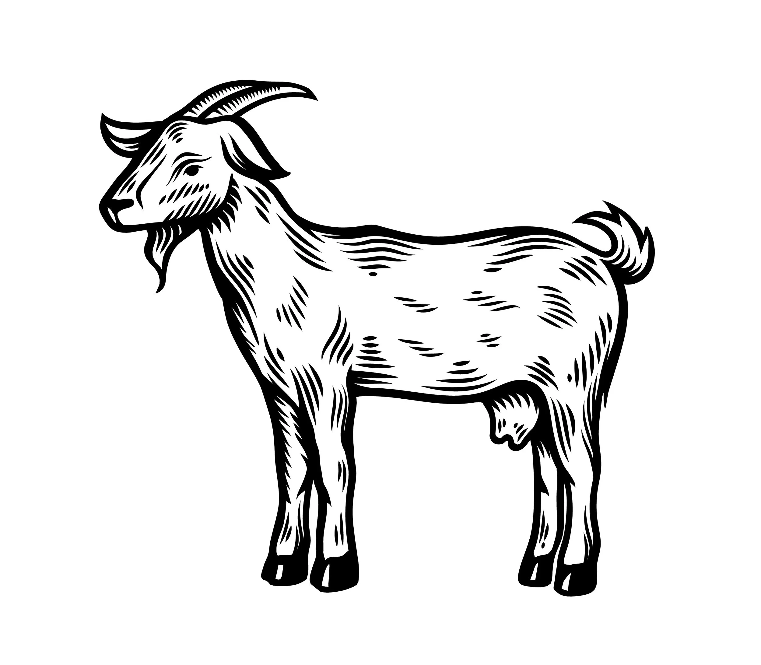 112023_goat_es.jpg