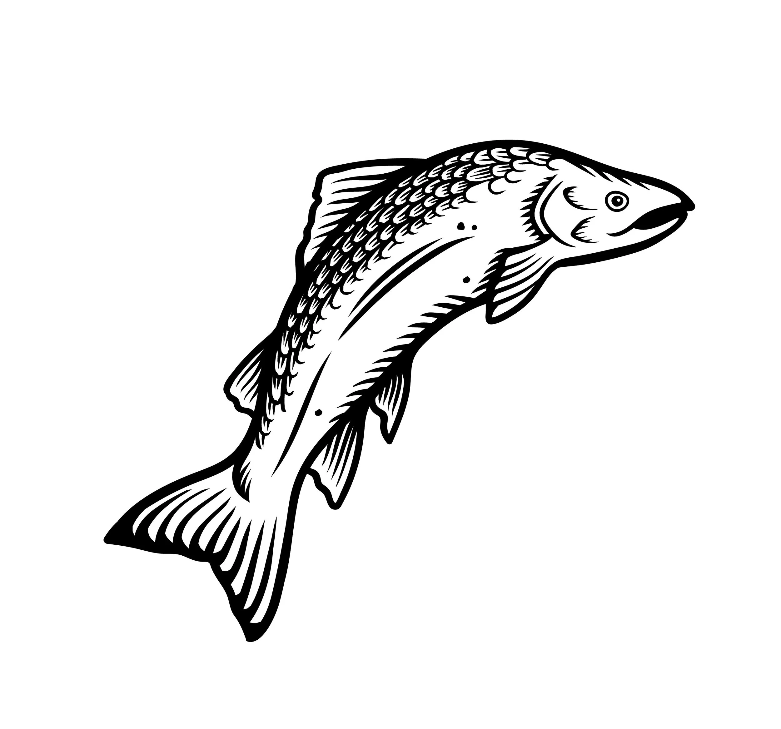112023_salmon_es-02.jpg