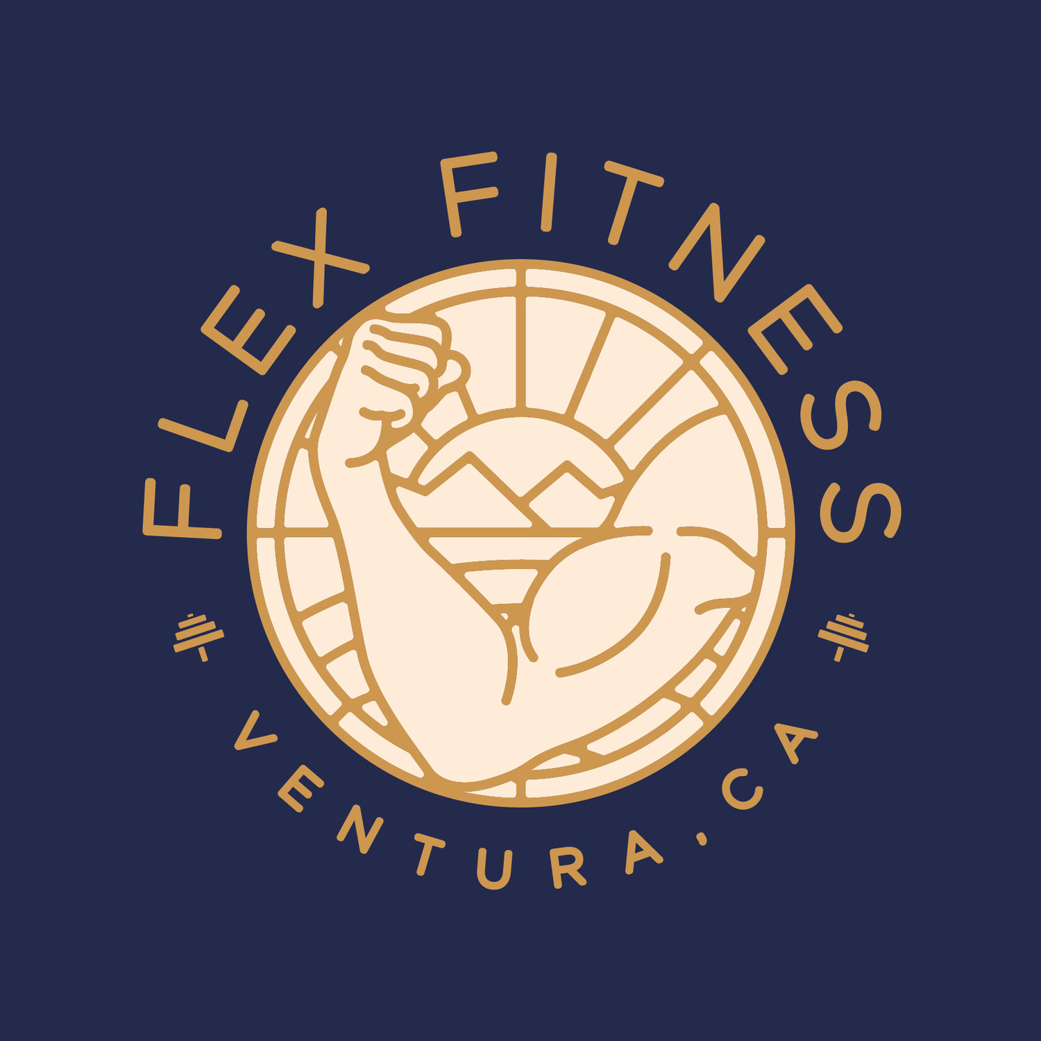Flex Fitness -