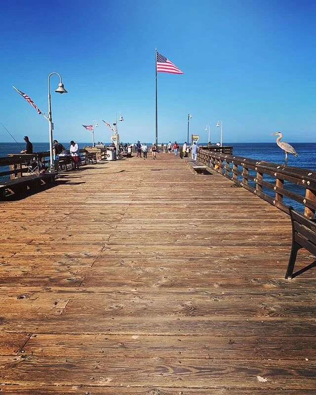 Felt so great to bring fit camp back to the pier today! Slowly but surely getting all our favorite locations back ☀️💪🏼🌊
.
.
Like fitness but hate gym&rsquo;s? Join us next time...Dm me for a complete schedule! 🌱
.
.
.
.
#outdoorfitness #groupfitn