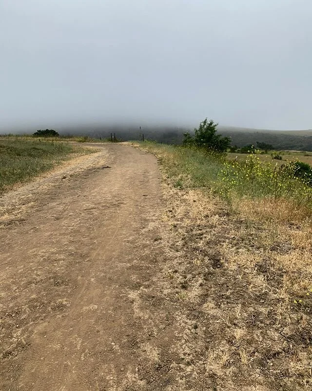 I&rsquo;m baaacckk...and ready to whip you into shape! Join me and my fit camp crew tomorrow morning (Sunday 6-21-20) here at Sulphur Mountain Trail from 8:30-9:30am. Are you a dad or have a dad? What a great gift to give! 🍃 All fitness levels CAN d