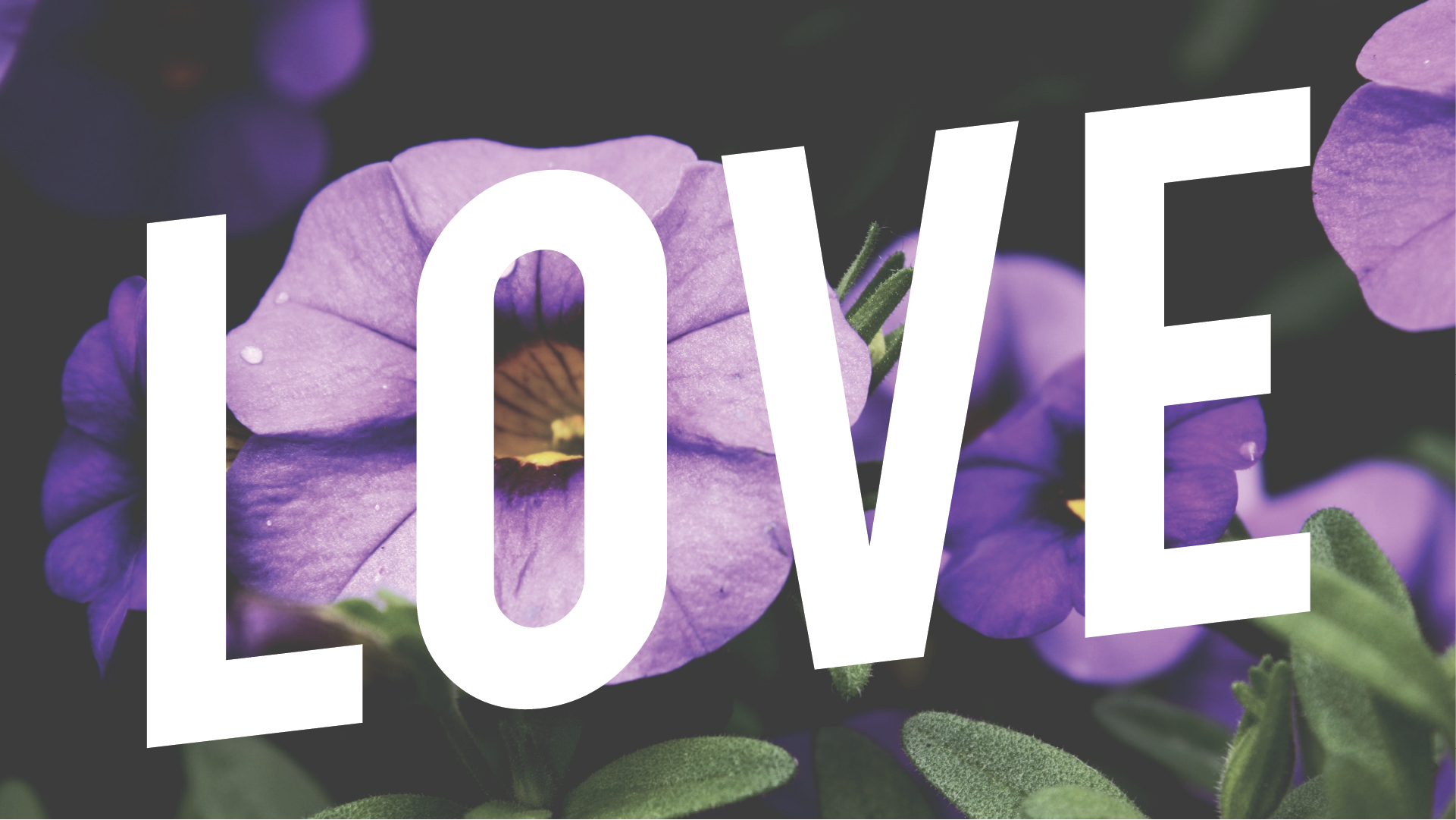 Love.png
