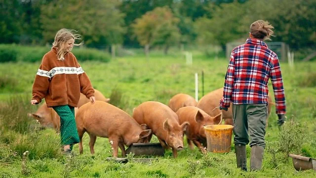The Farmer’s Country Showdown (BBC)