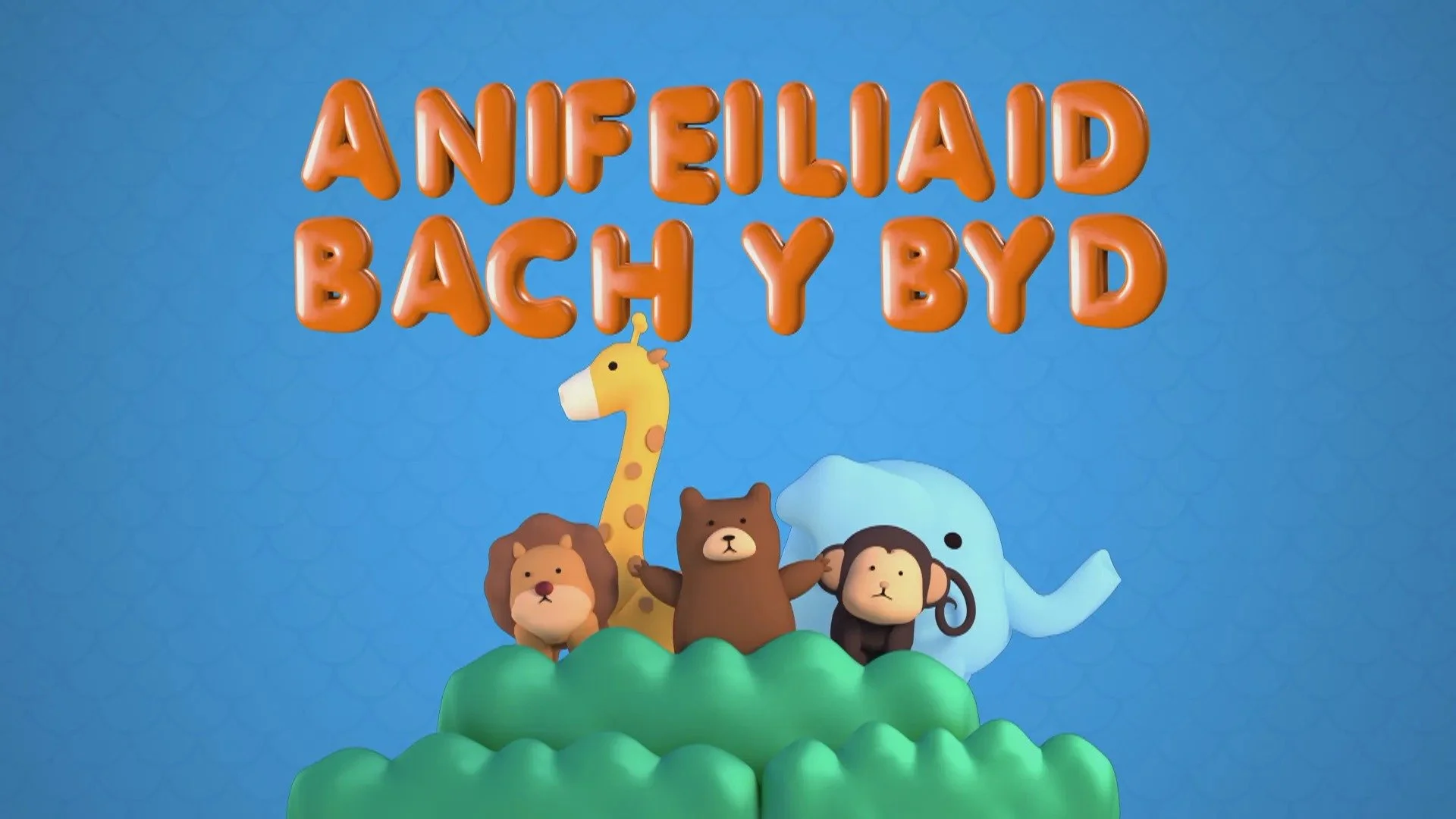 Anifeiliaid Bach Y Byd (S4C)